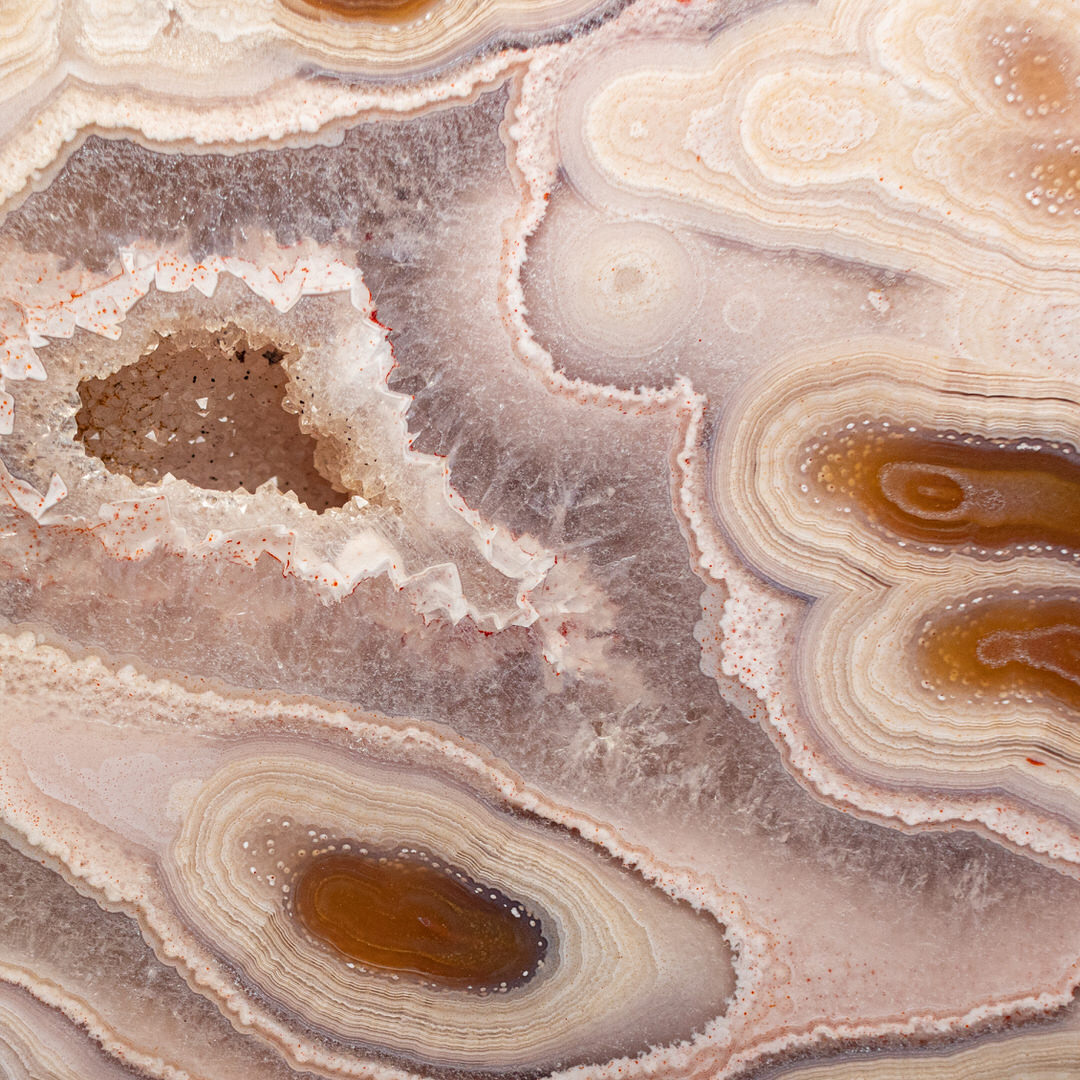 Frosted Petal  - view 3