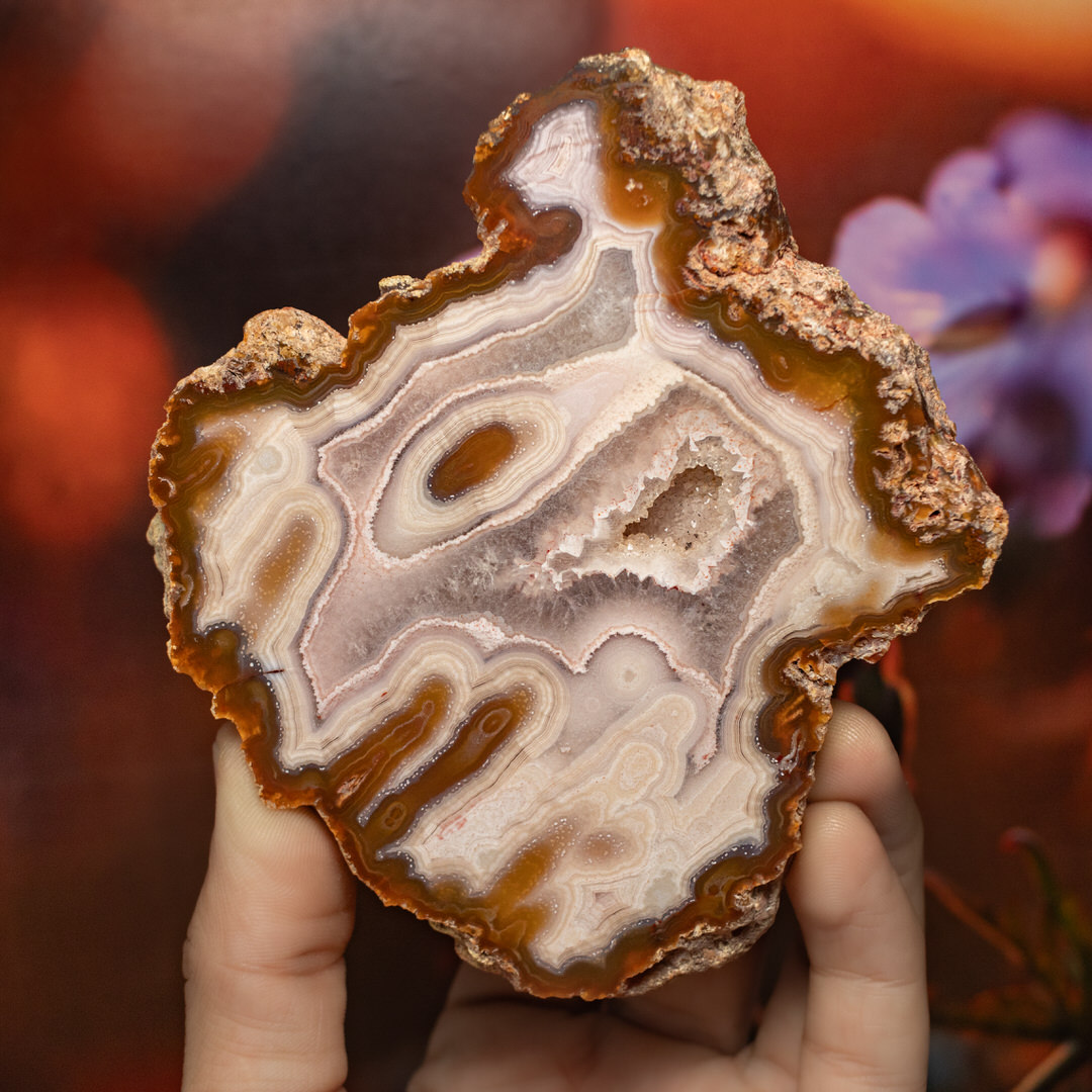 Frosted Petal  - view 2