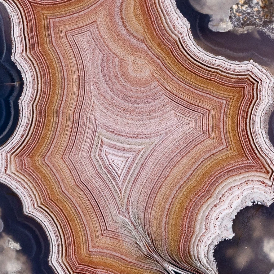 Amber Mirage - view 4