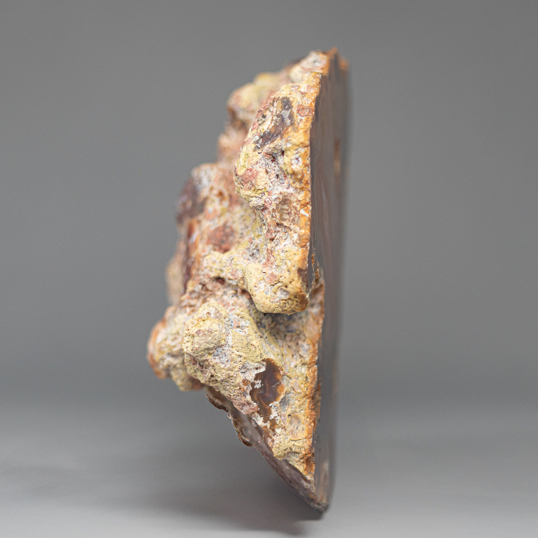 Spectral Brown - view 4