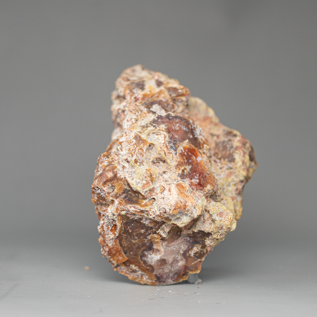 Spectral Brown - view 5