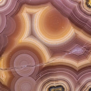 Violet Borealis  - view 3