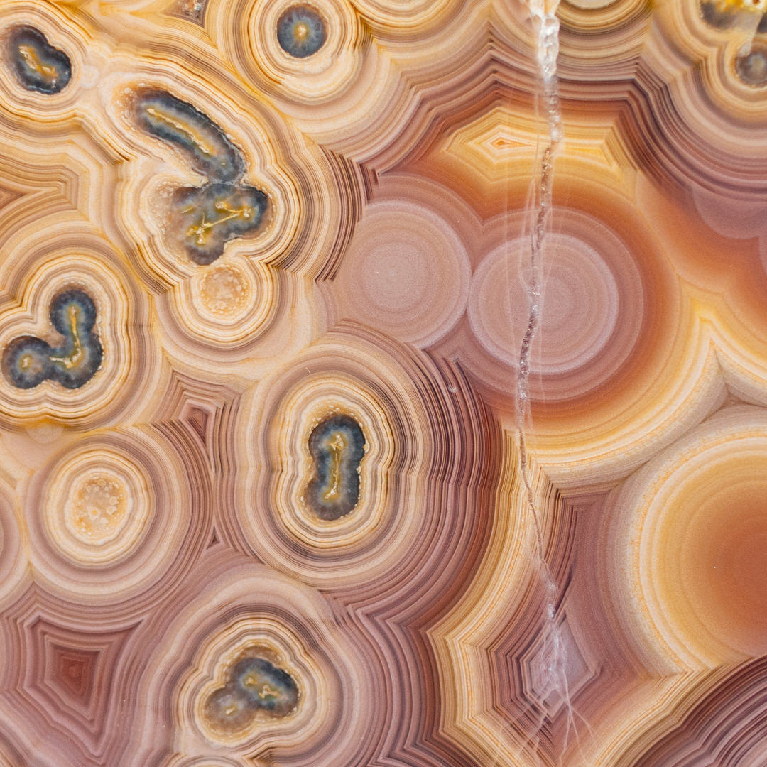 Violet Borealis  - view 4