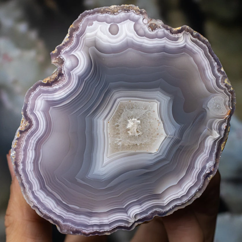 Berry Aura  - view 2