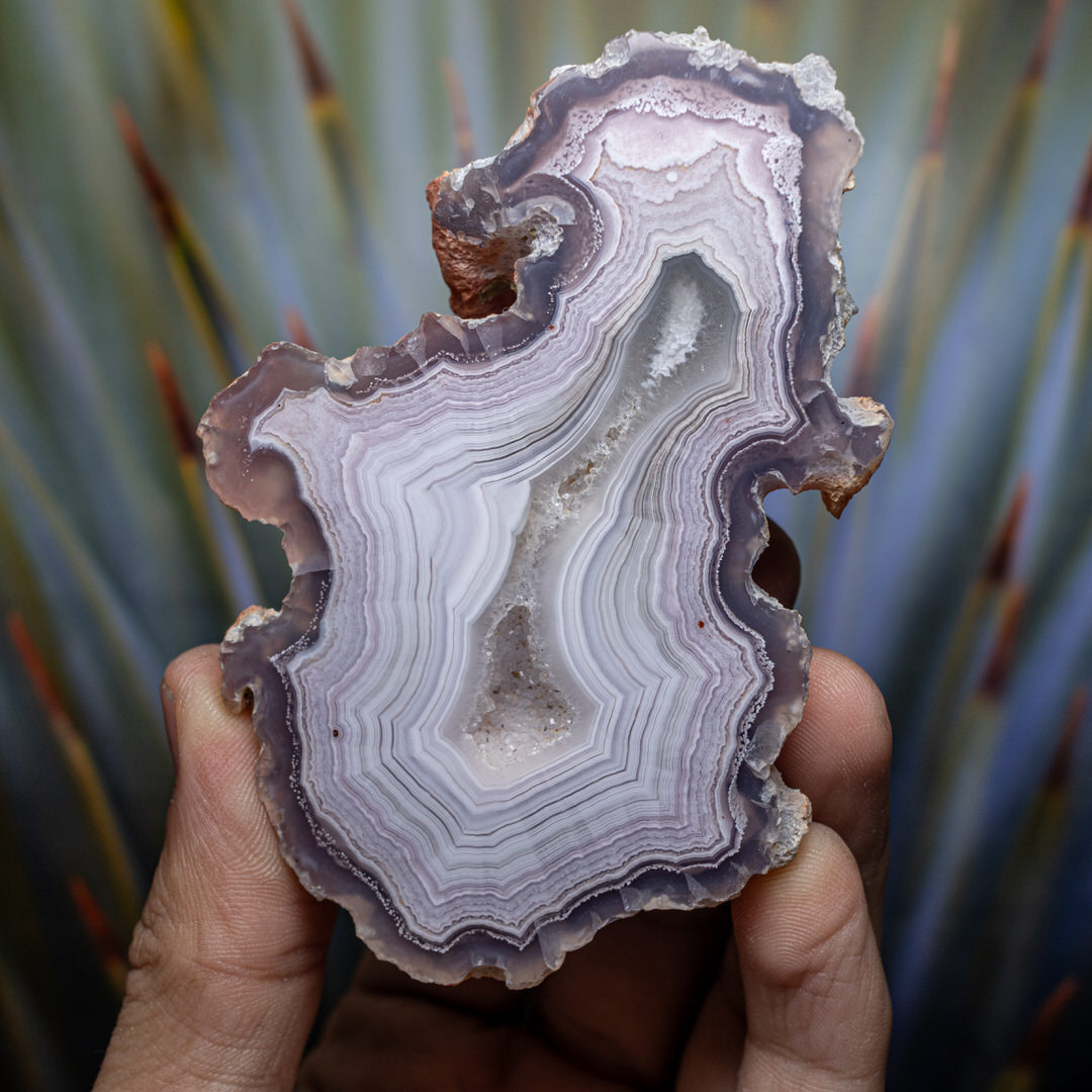 Lavender Crest - view 2