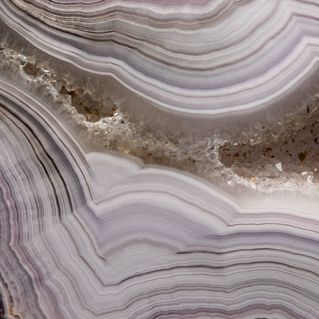 Lavender Crest - view 3