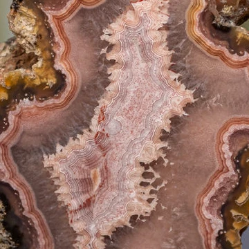 Soft Pink  - view 5