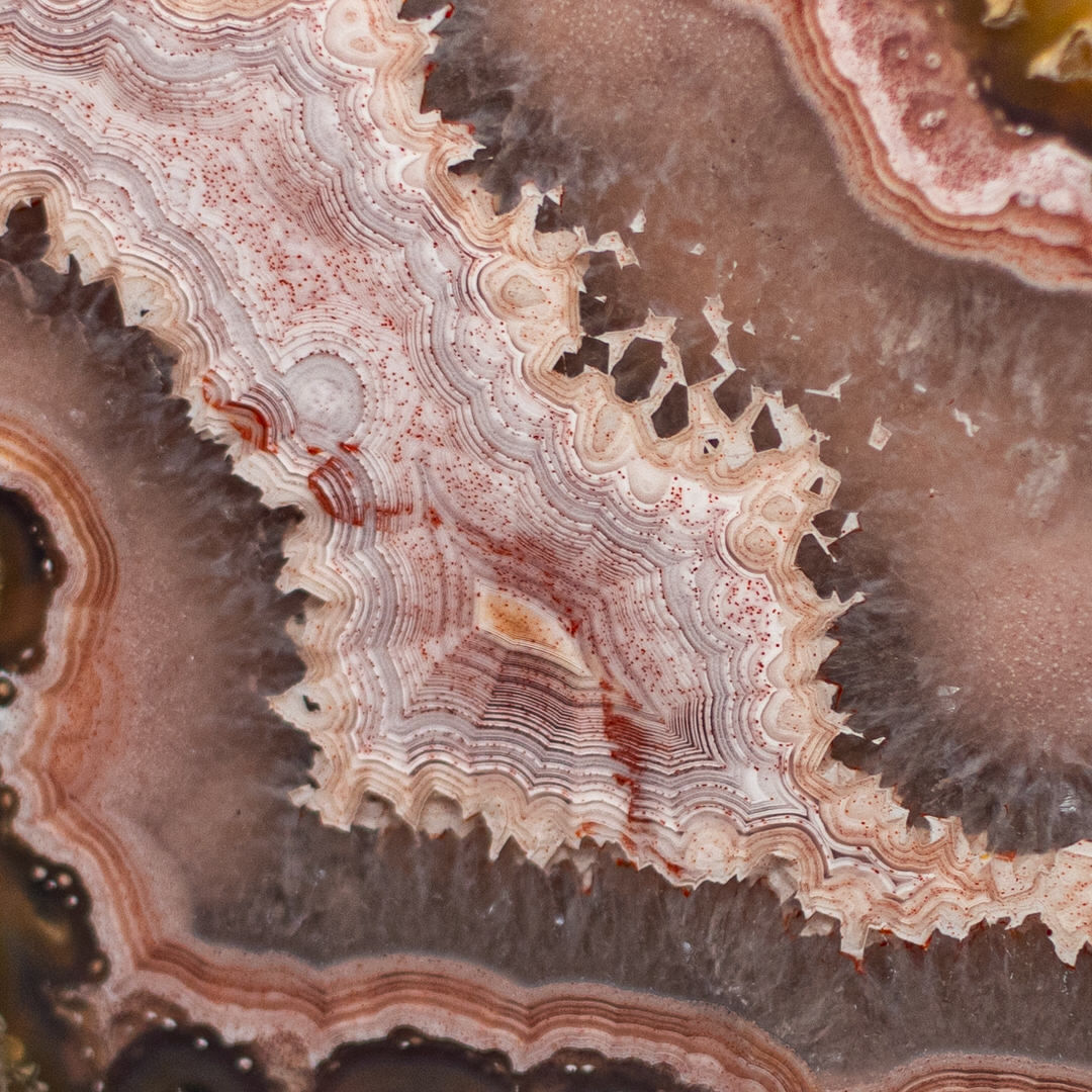 Soft Pink  - view 3