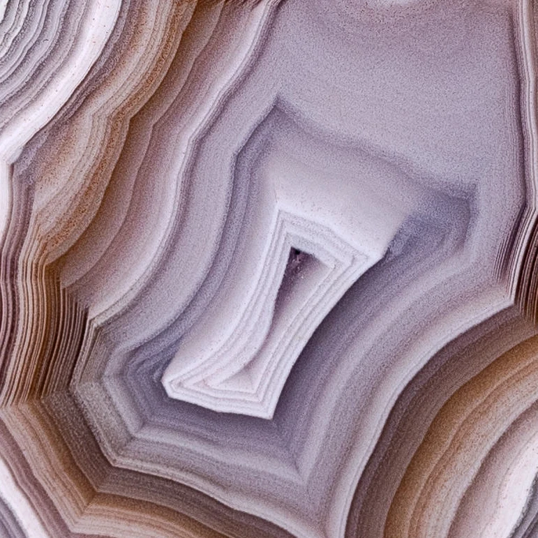 Allium  - view 3