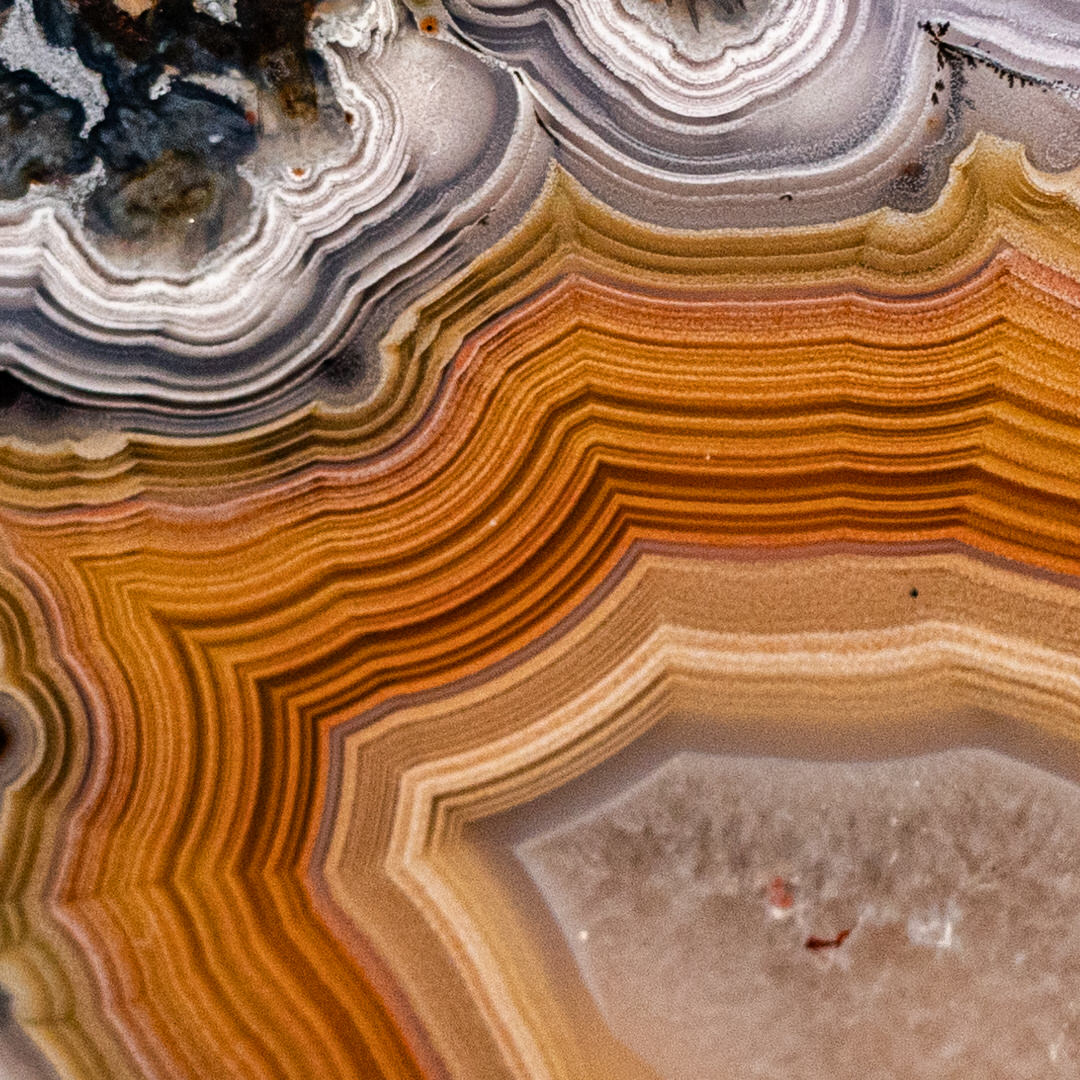 Coral Coast - view 3