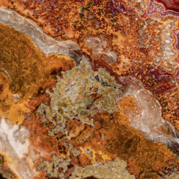 Briar  - view 4