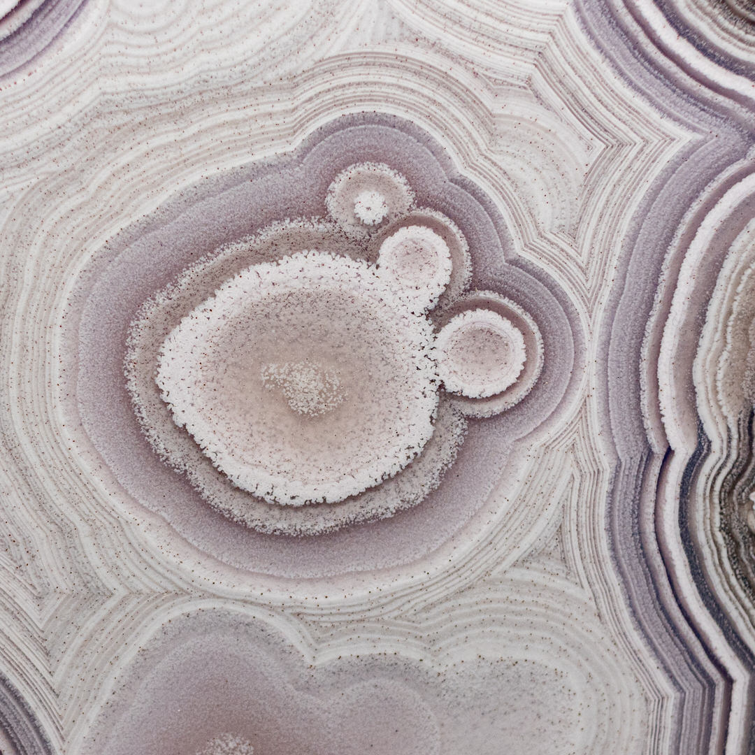 Bella Lilac - view 3