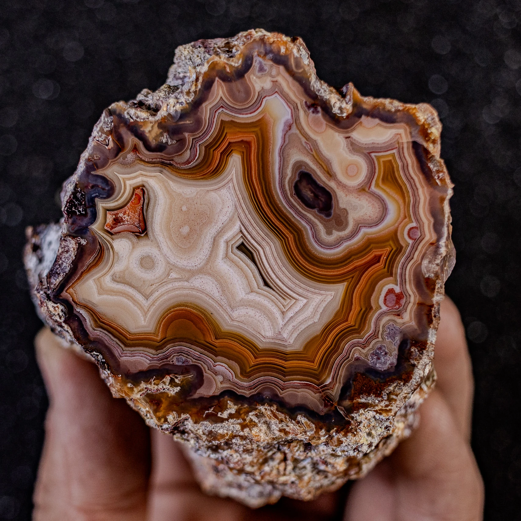 Berly Caramel - view 2