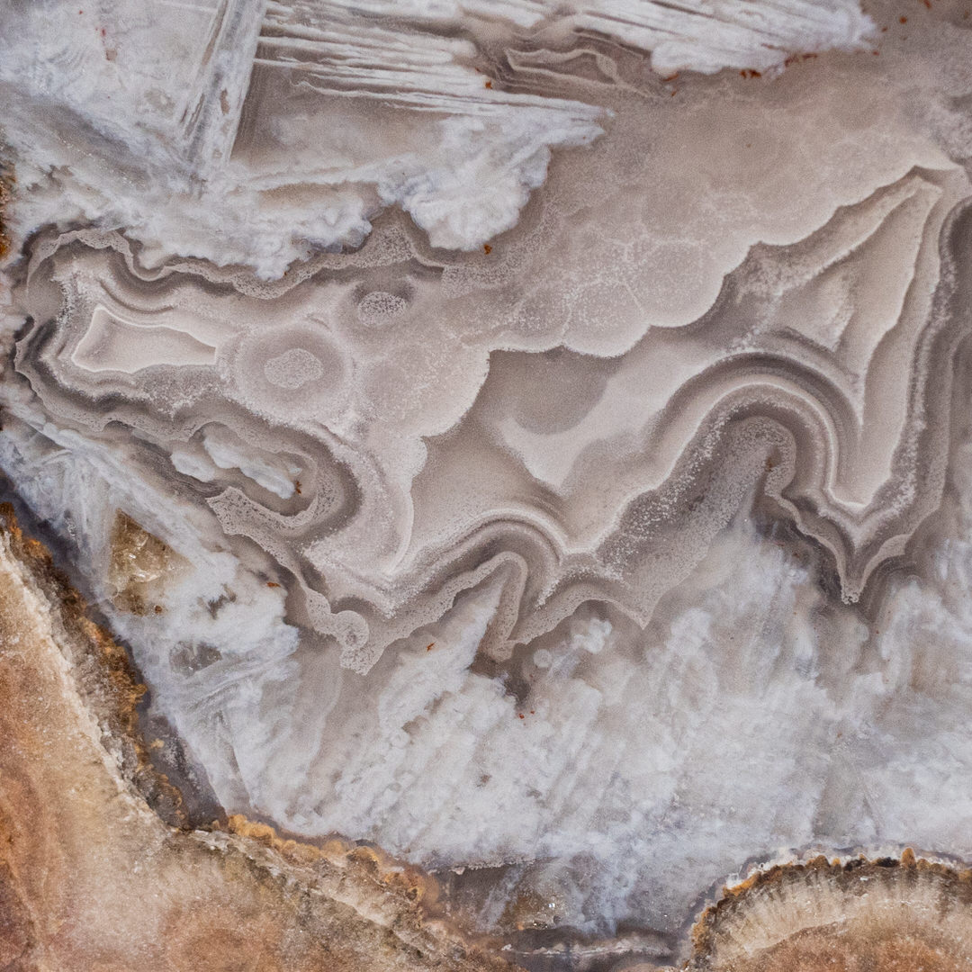 Frosted Winter - view 3