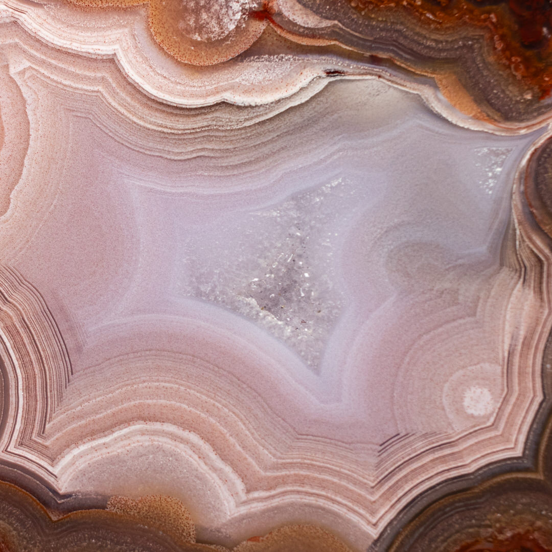 Floret - view 3