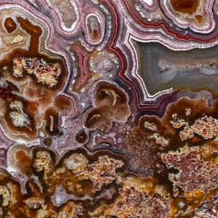 Floral Mist  - view 5