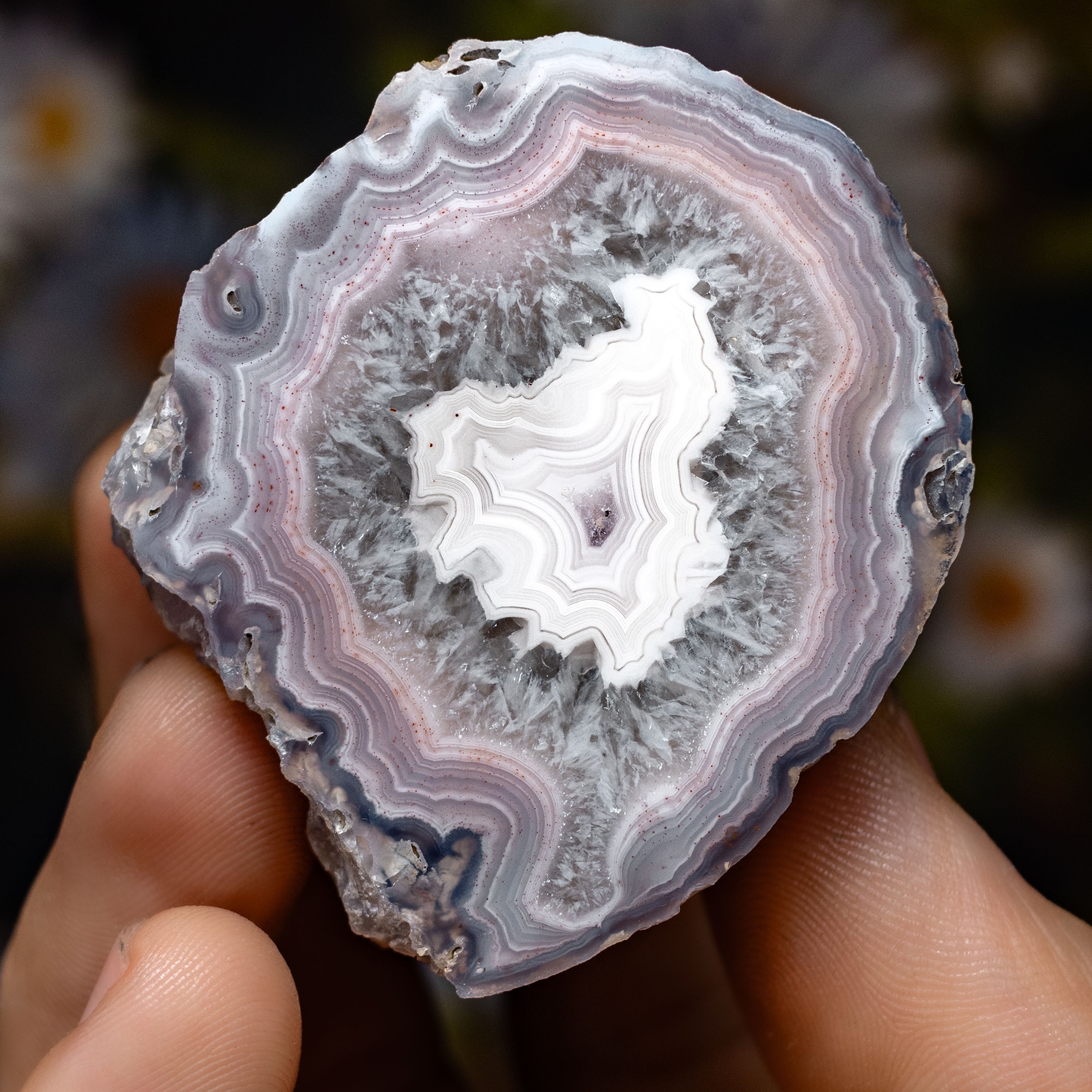 Silver Bloom  - view 2