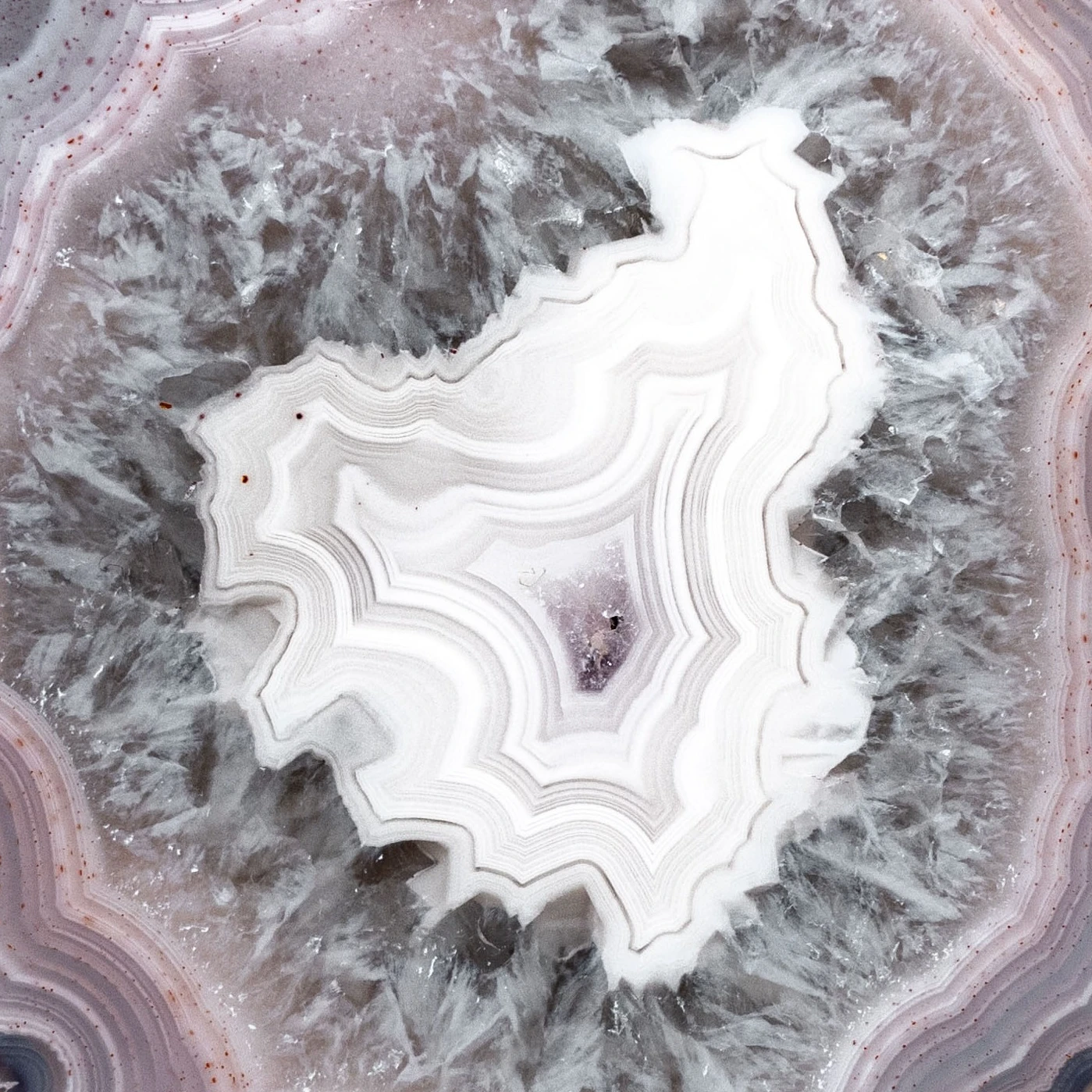 Silver Bloom  - view 4