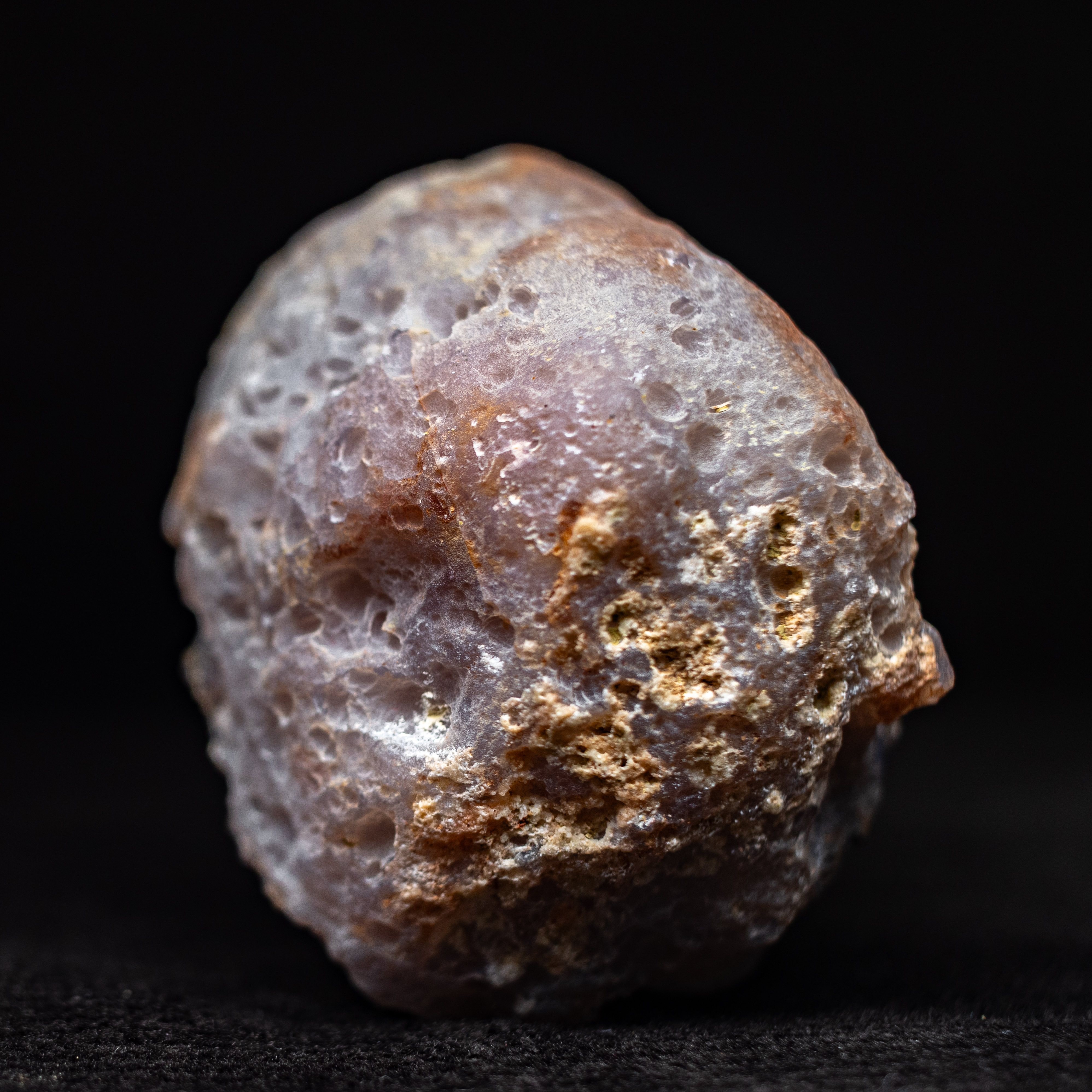 Starburst  - view 5