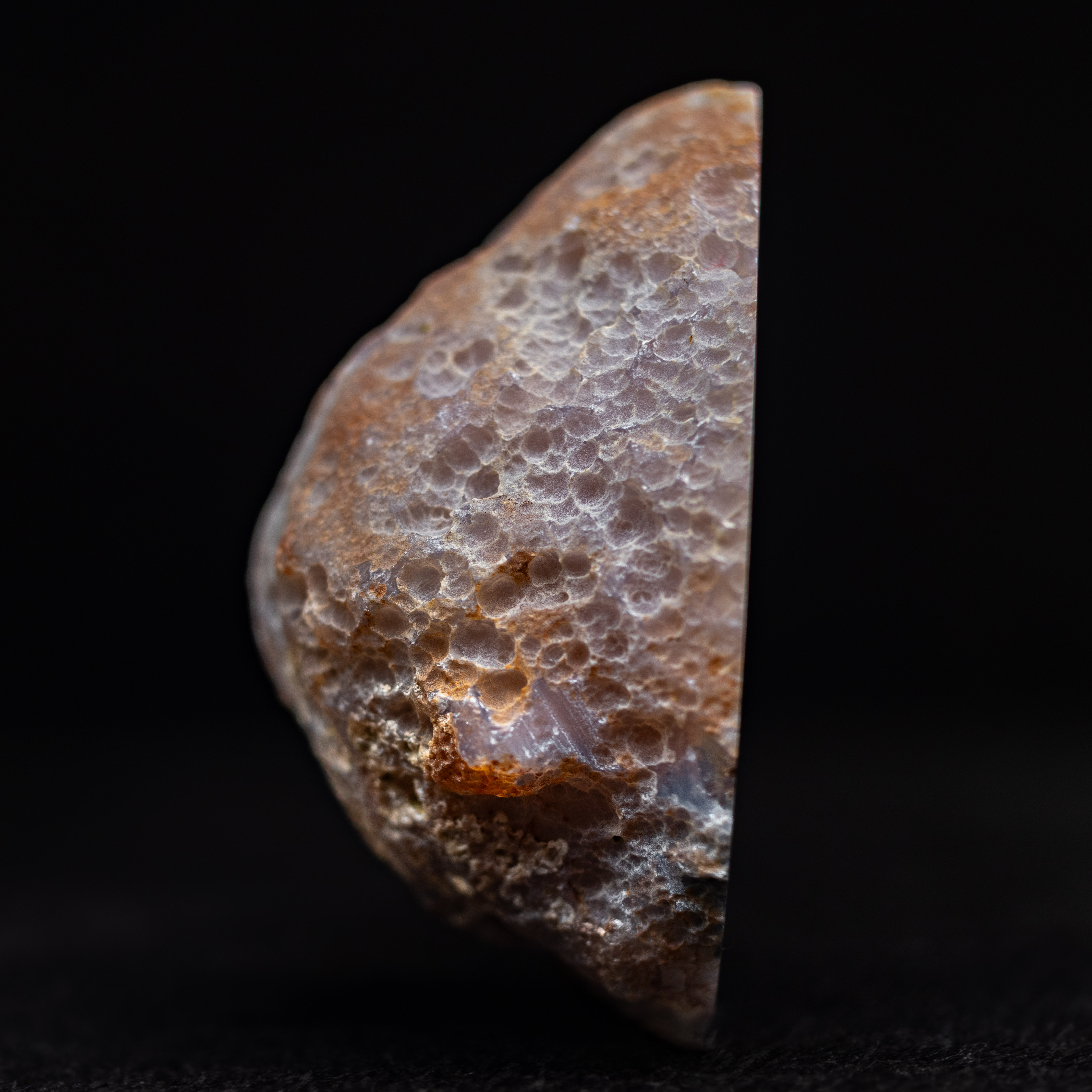 Starburst  - view 4