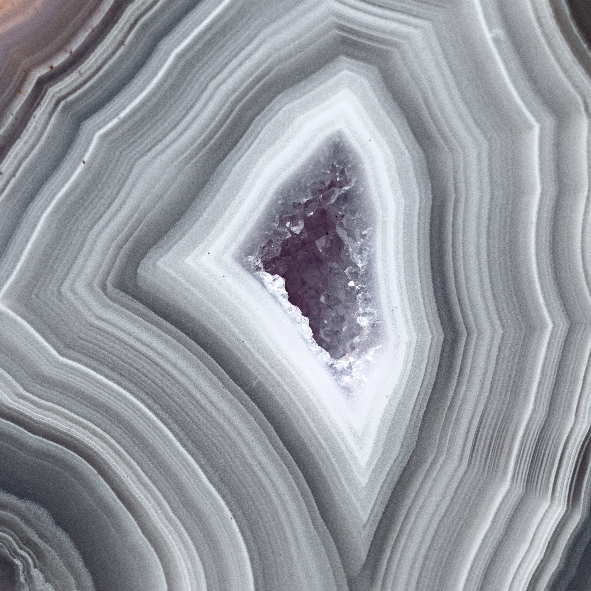 Starburst  - view 3