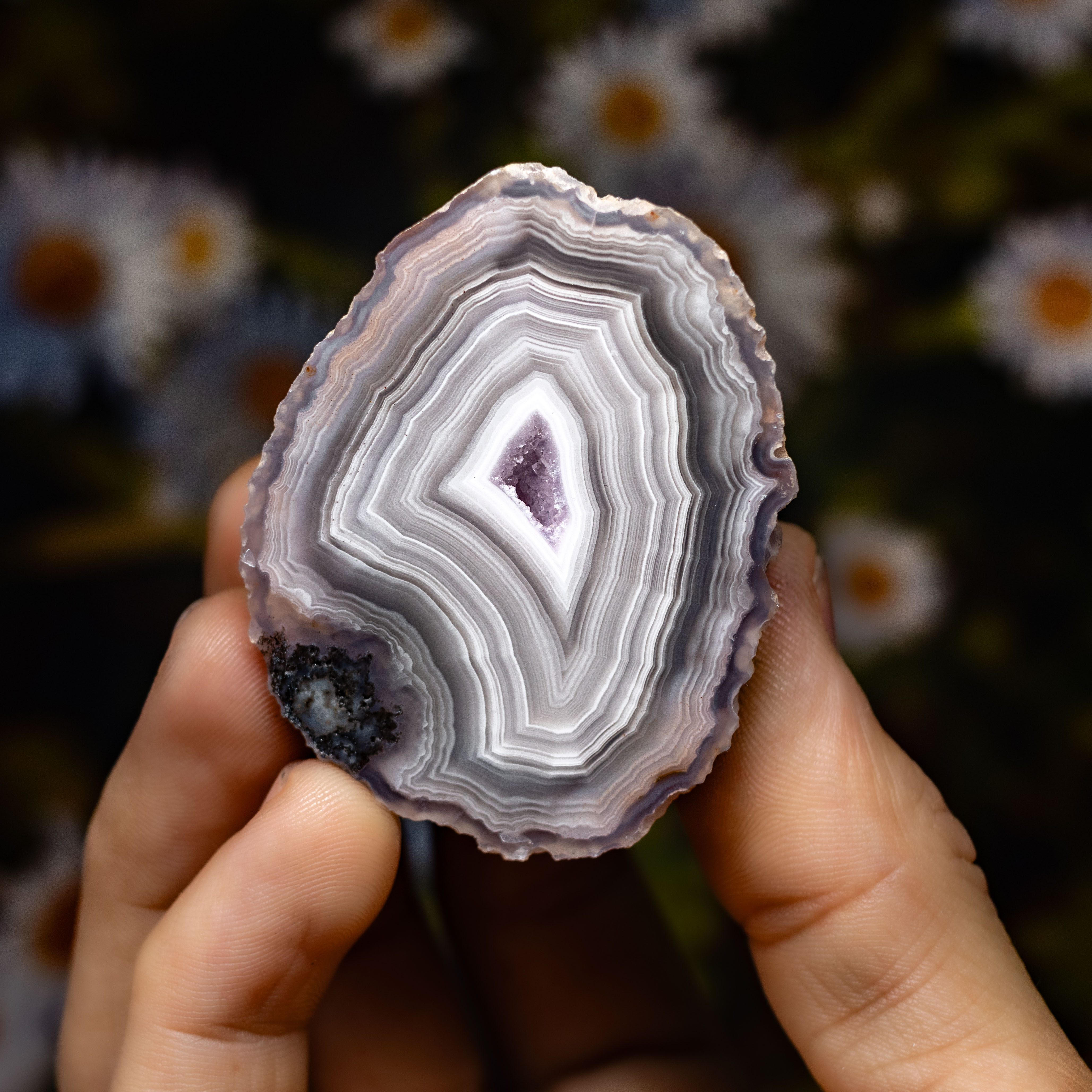Starburst  - view 2