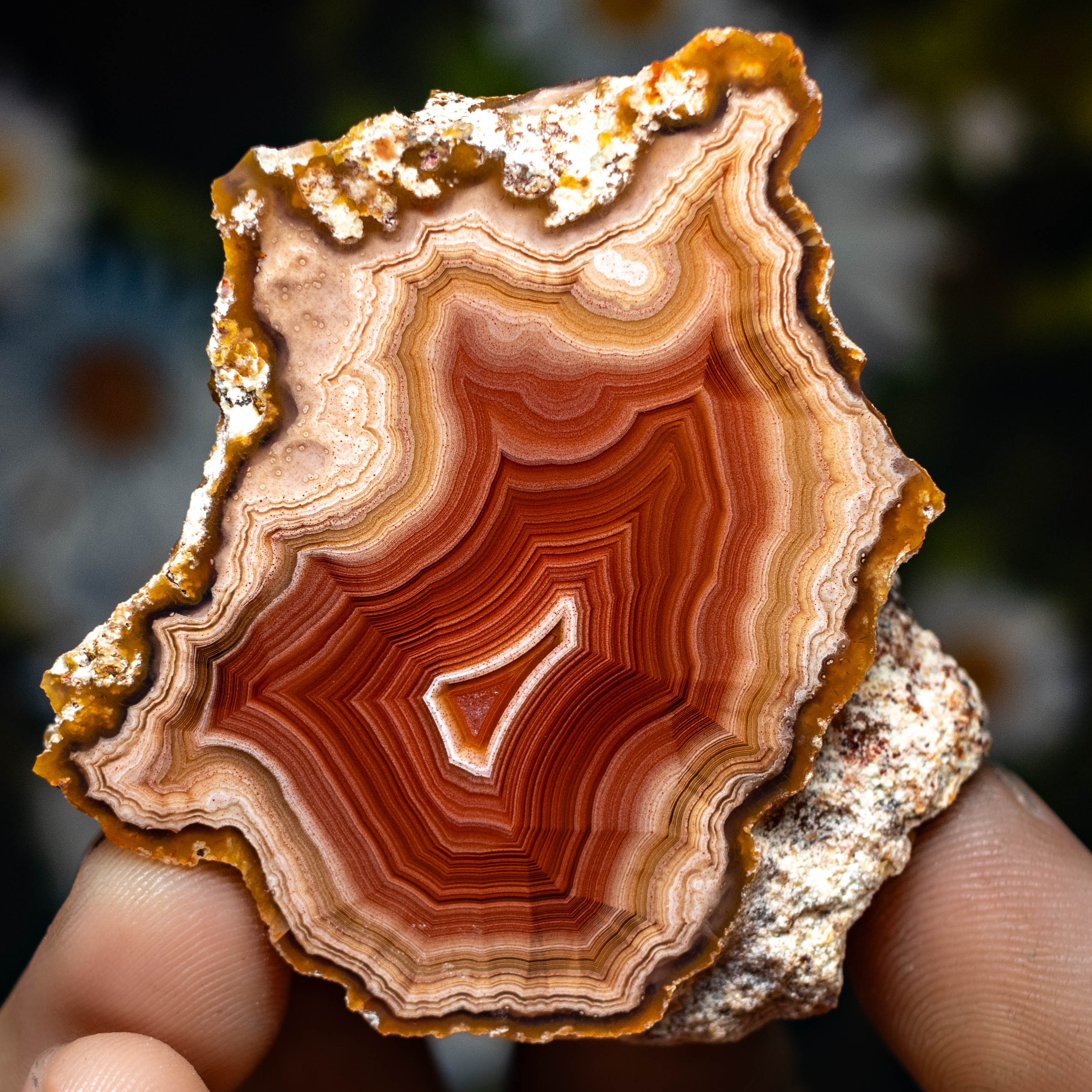 Molten Geometry - view 2