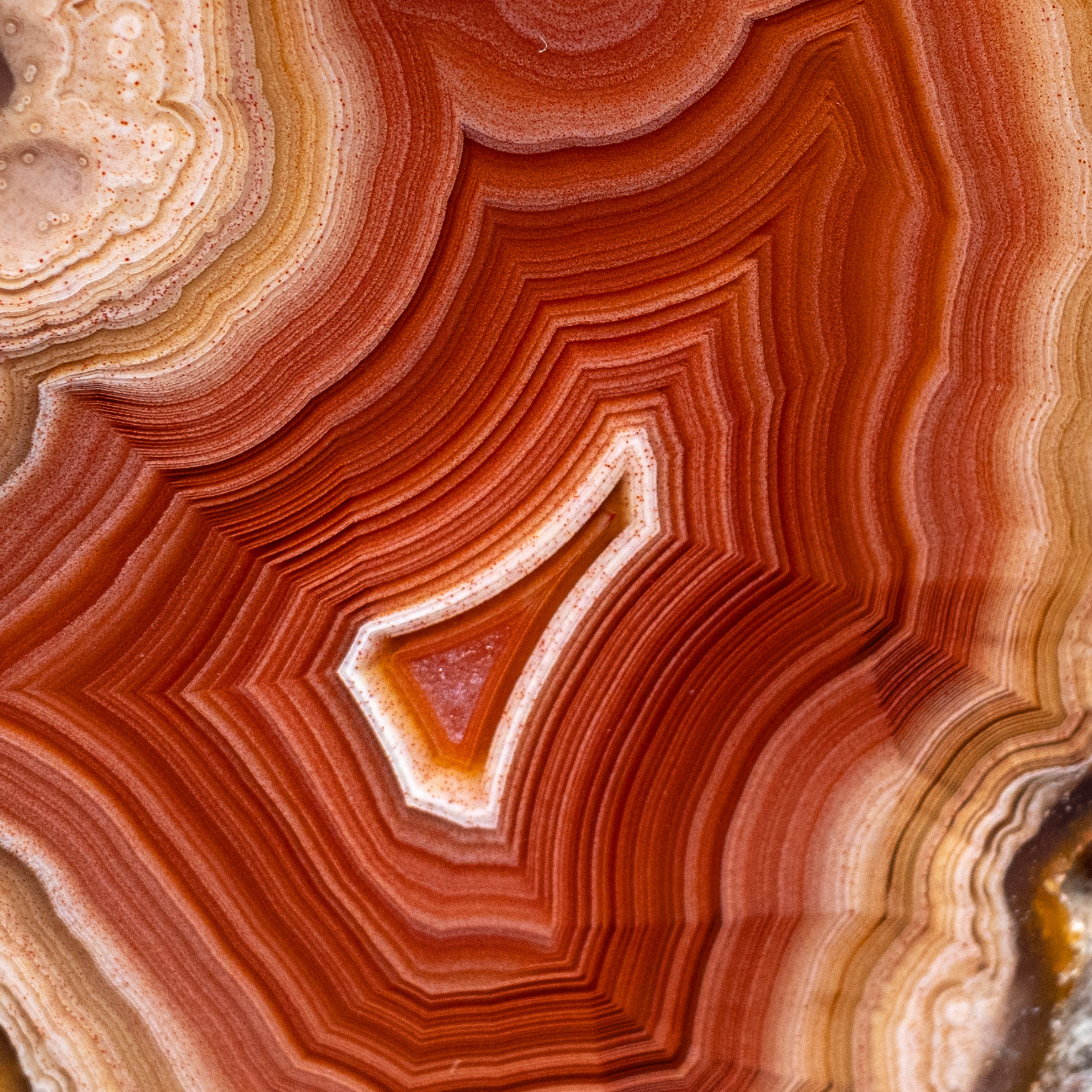Molten Geometry - view 3