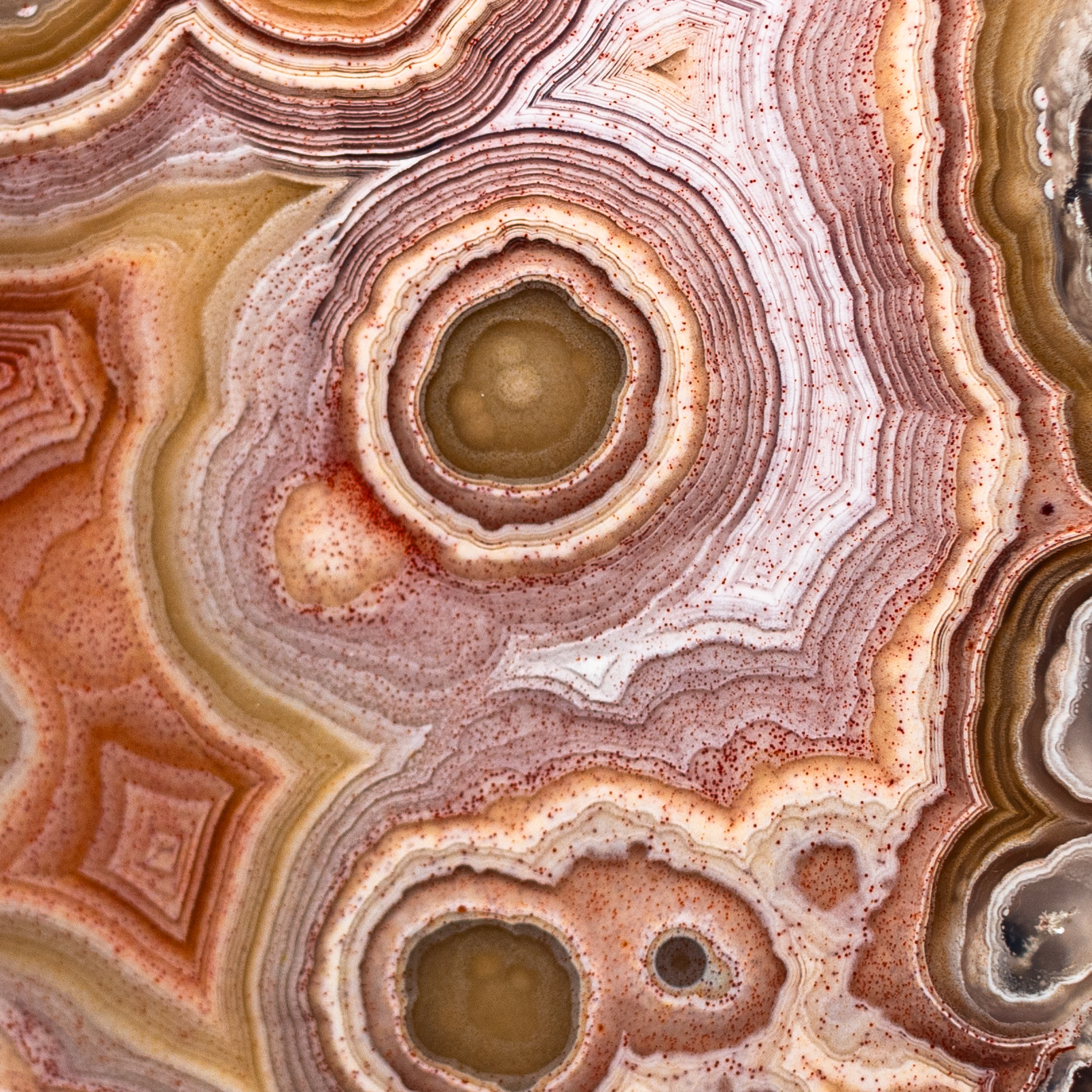 Celestial Map - view 3