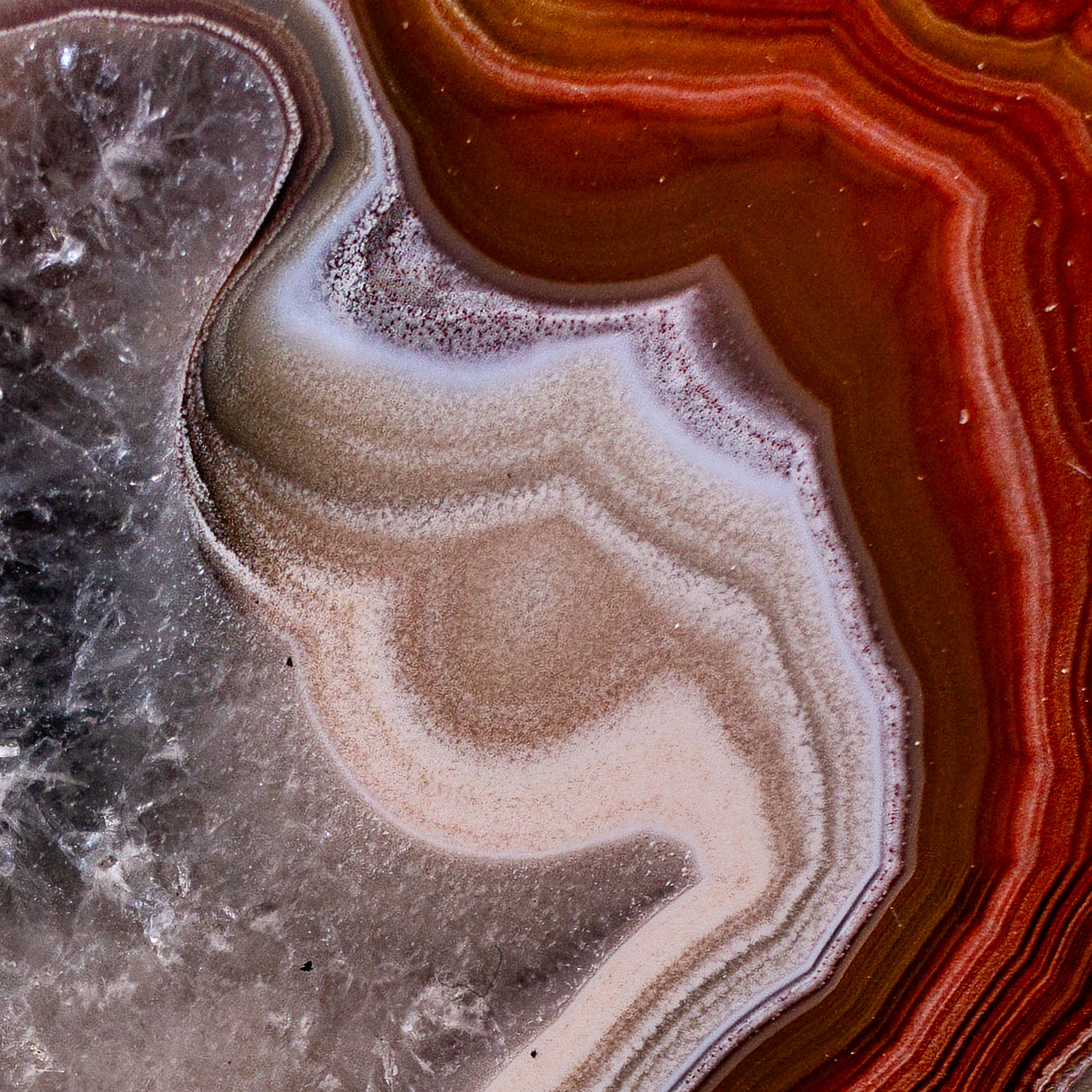 Copper  - view 3