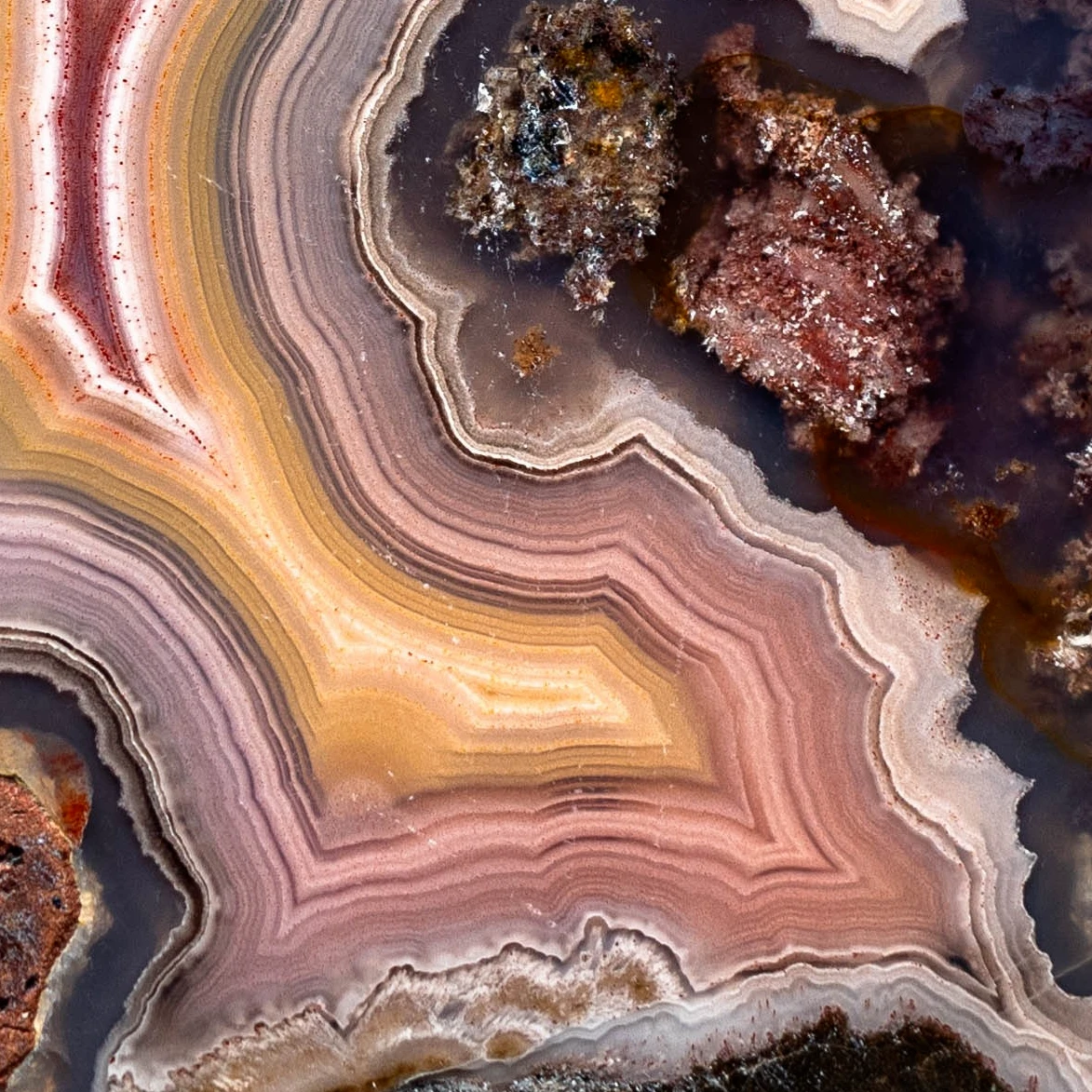Ember Crest - view 3