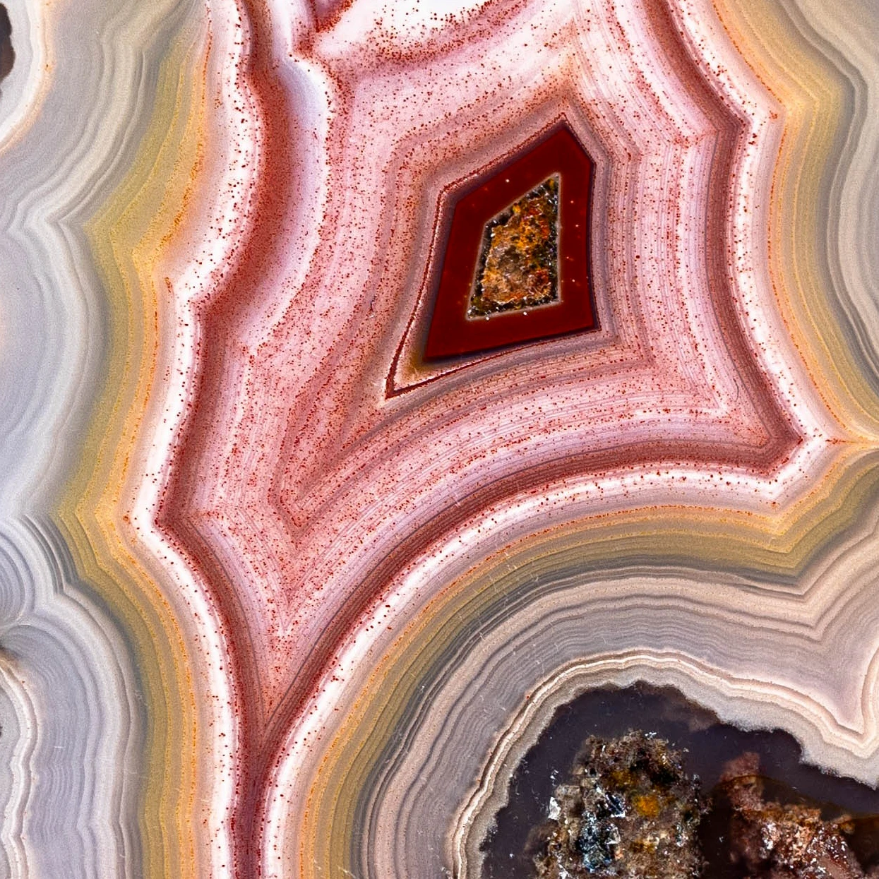 Ember Crest - view 5