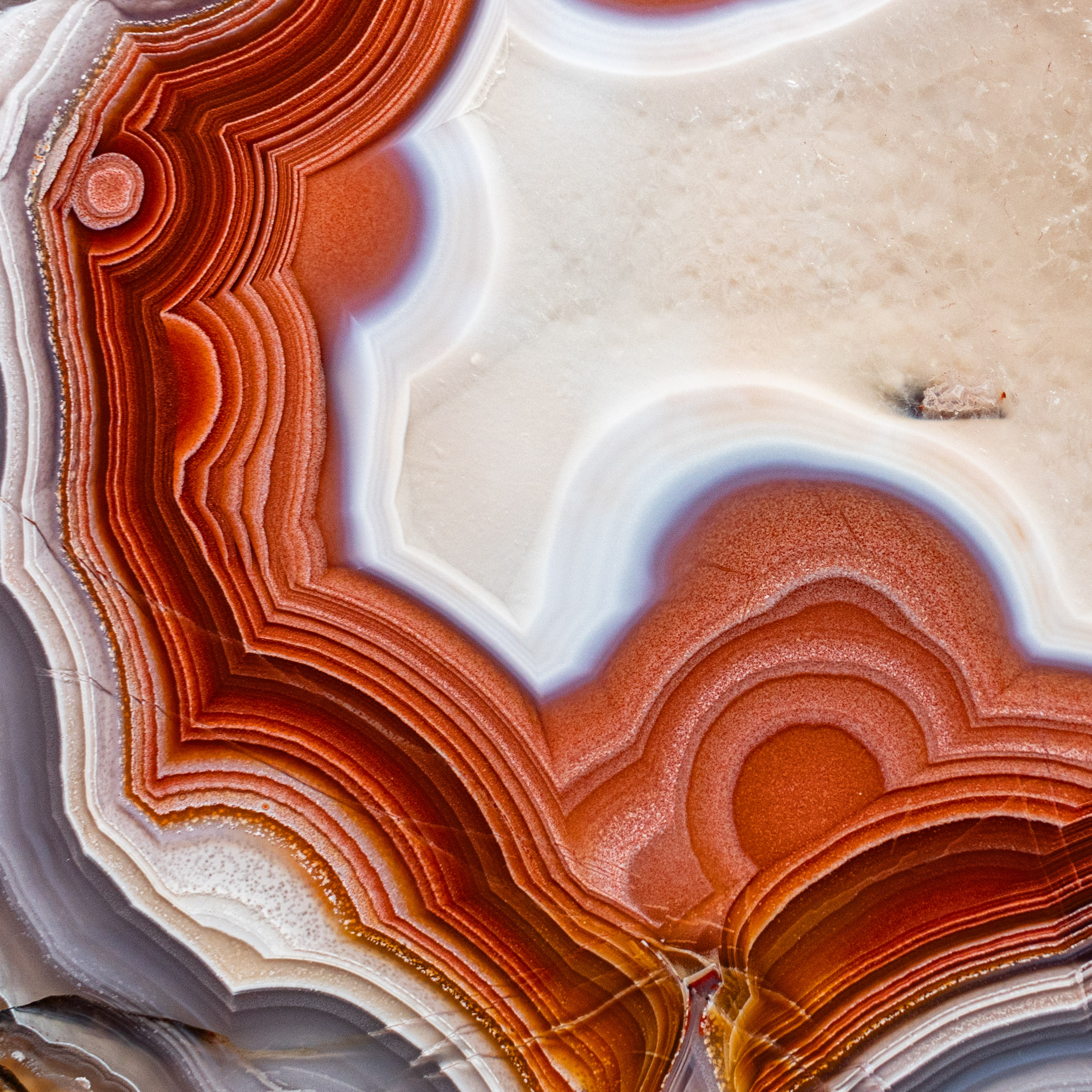 Rusty  - view 3