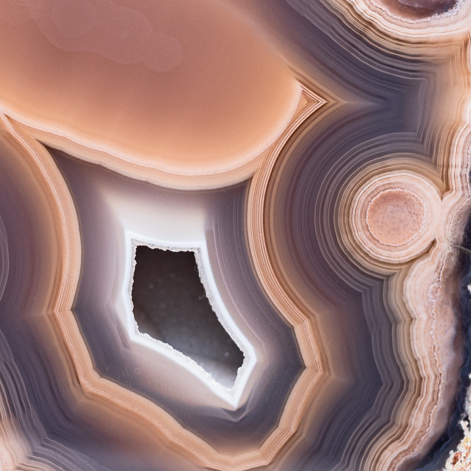 Deep Peach - view 3