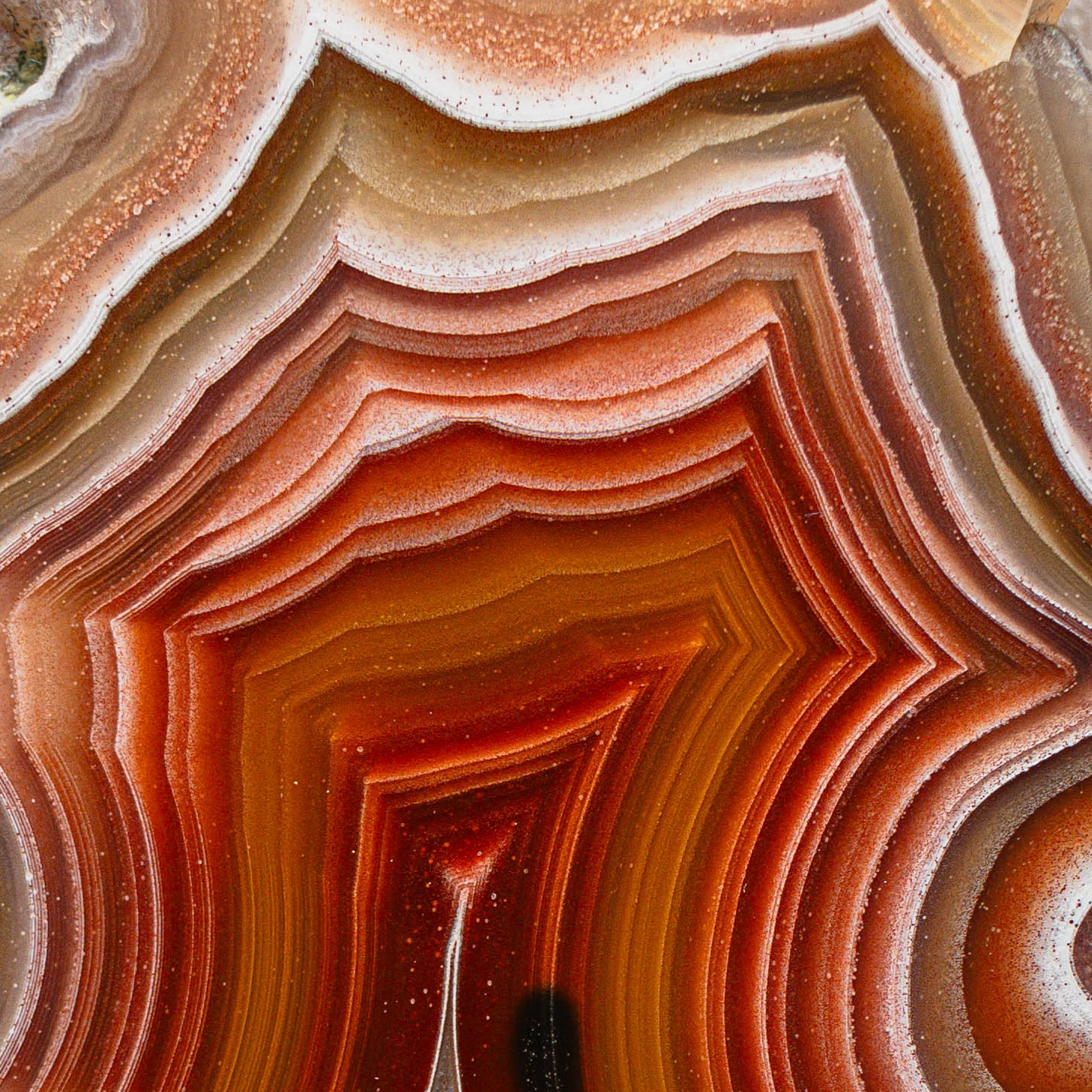Flame Spiral - view 5