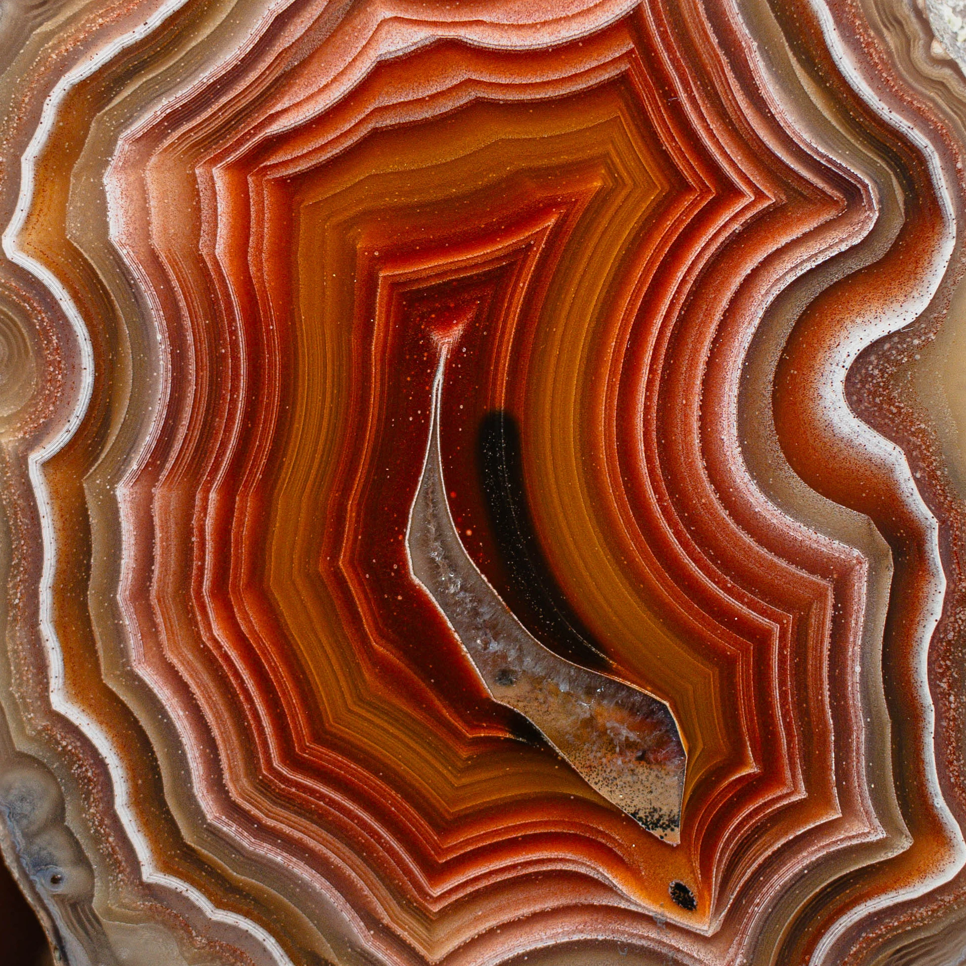 Flame Spiral - view 4