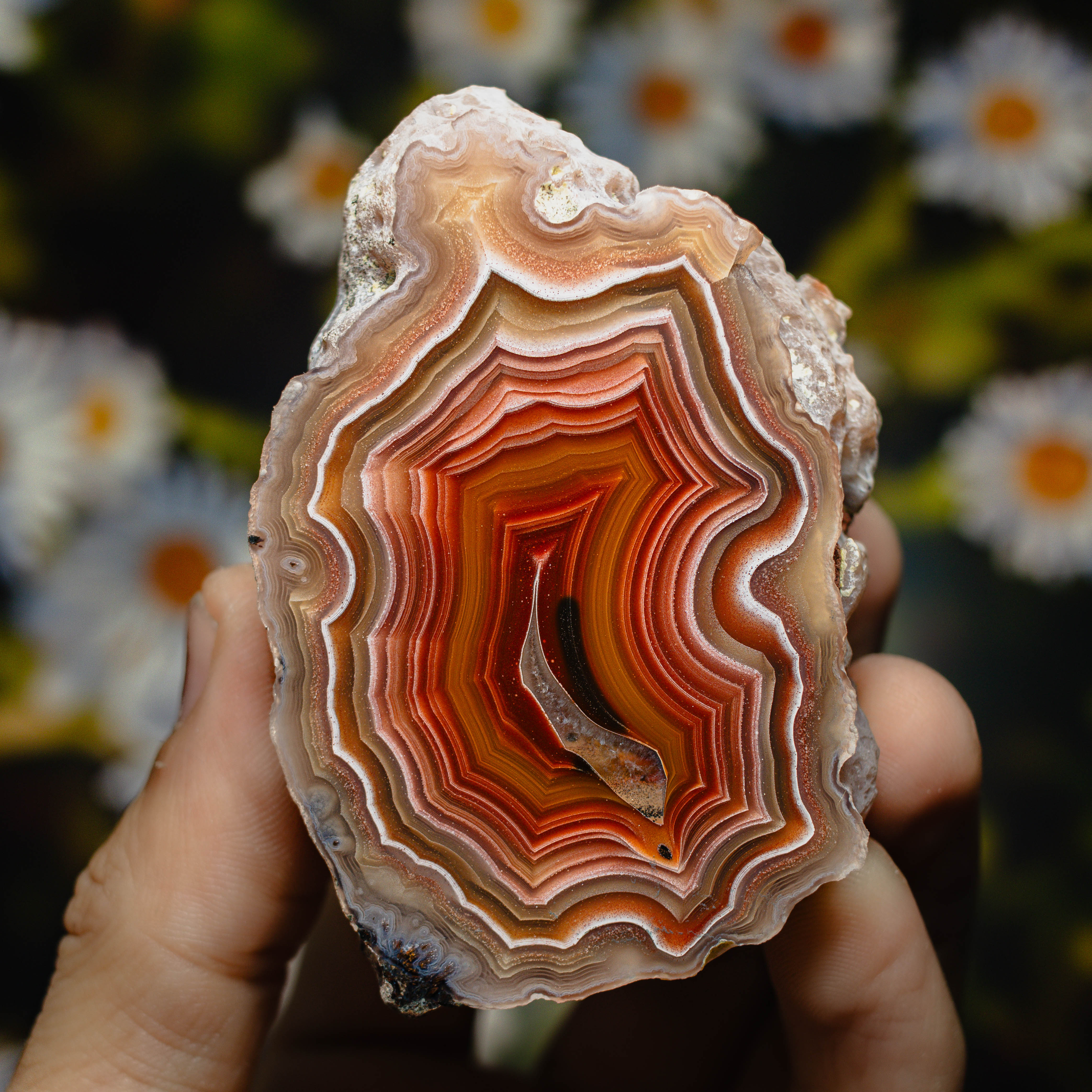 Flame Spiral - view 2