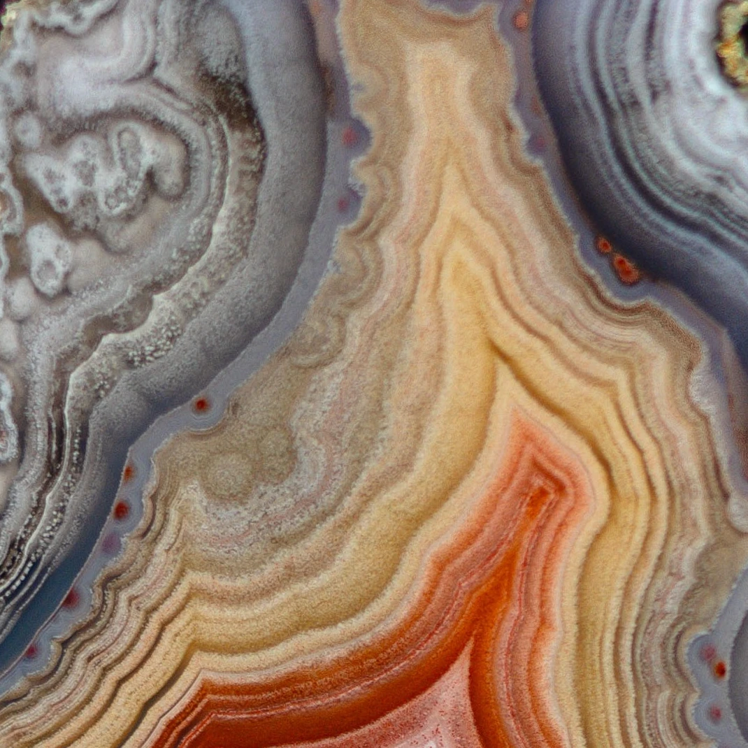 Crown Ember - view 4