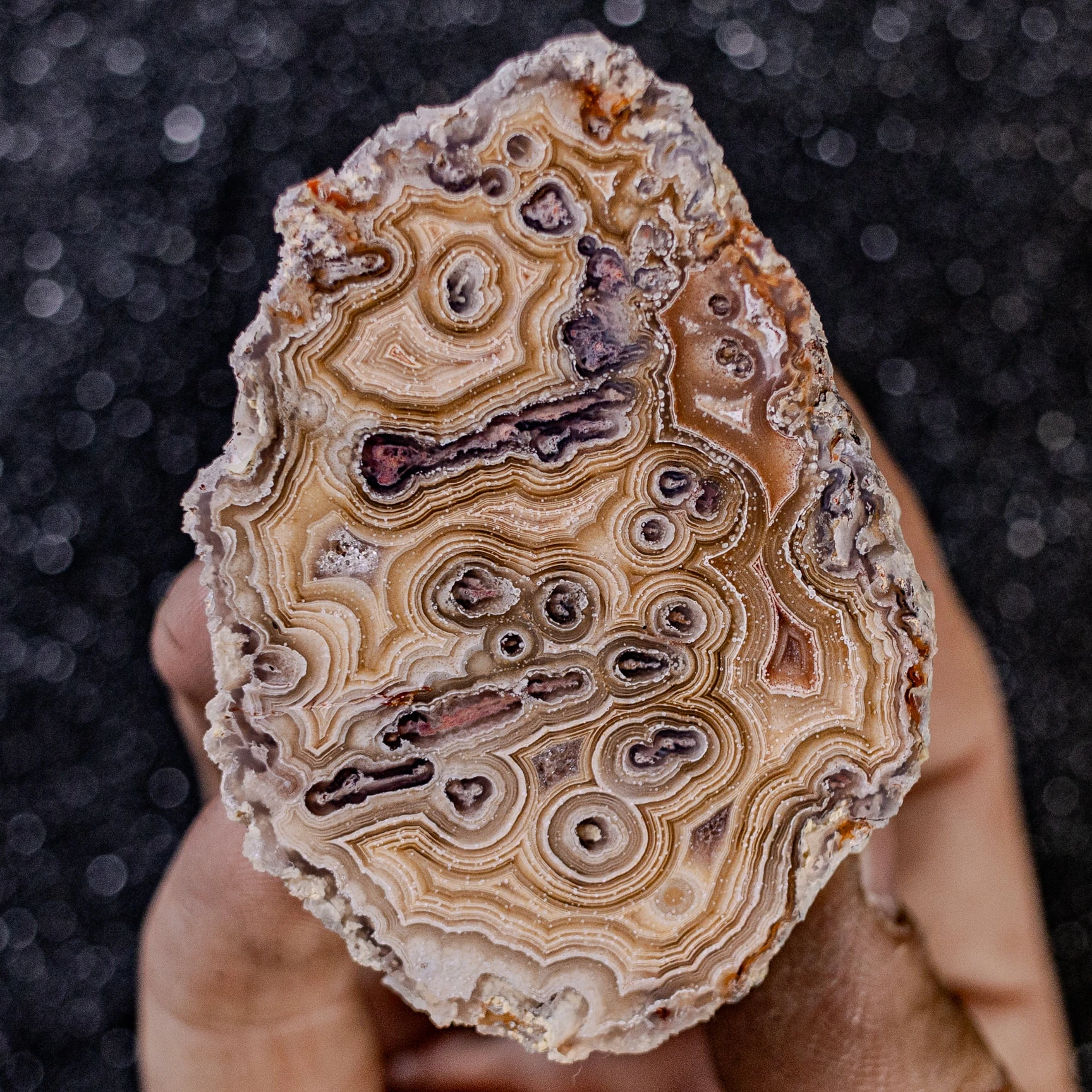 Labyrinth Pulse - view 2