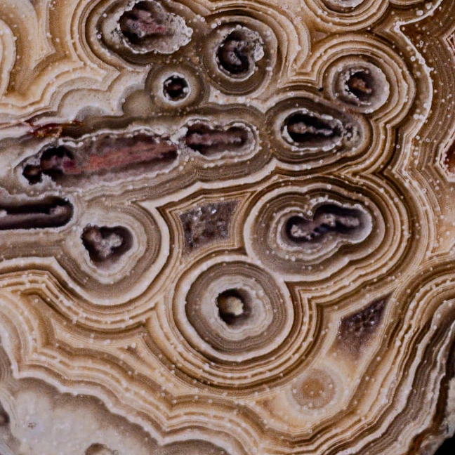 Labyrinth Pulse - view 5