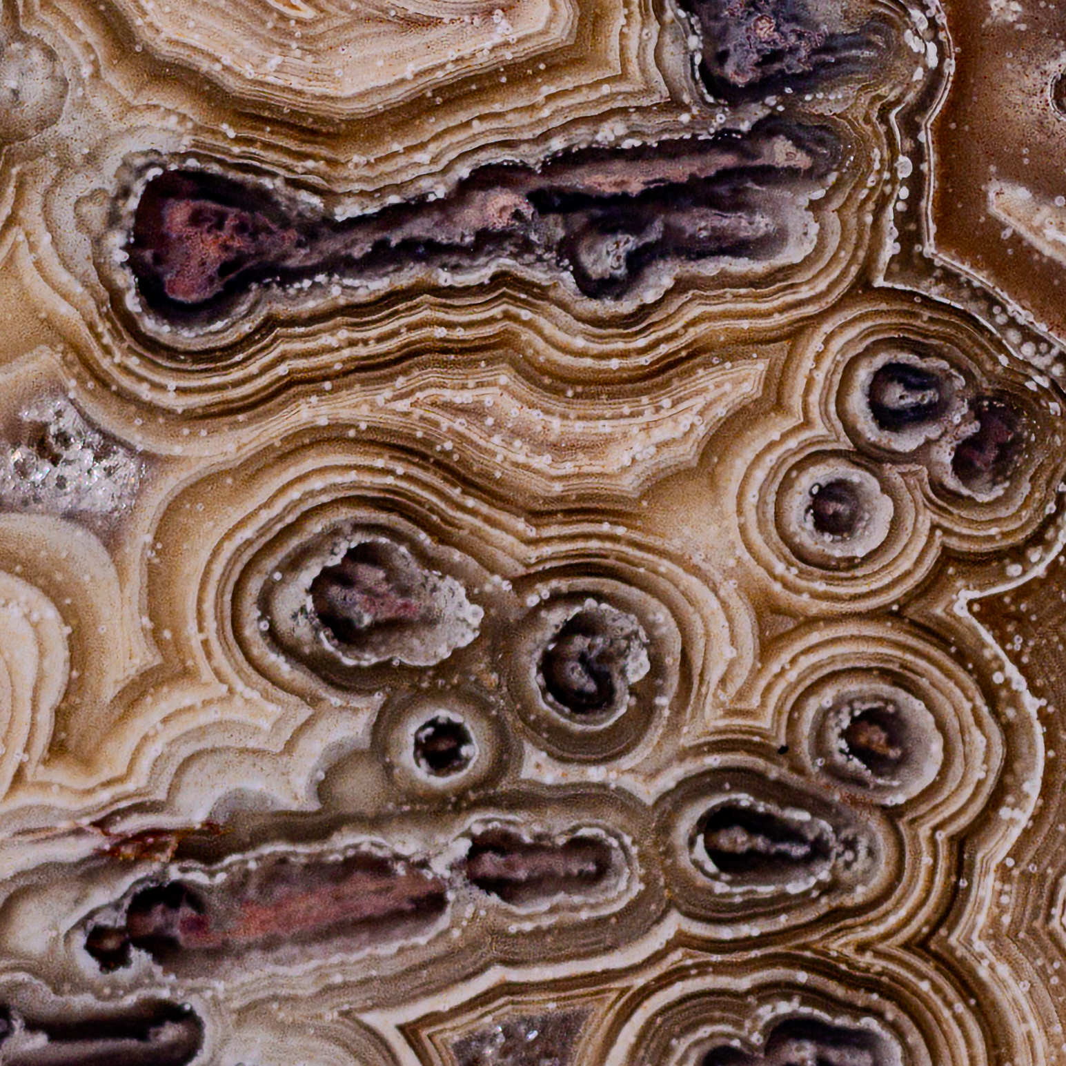 Labyrinth Pulse - view 3