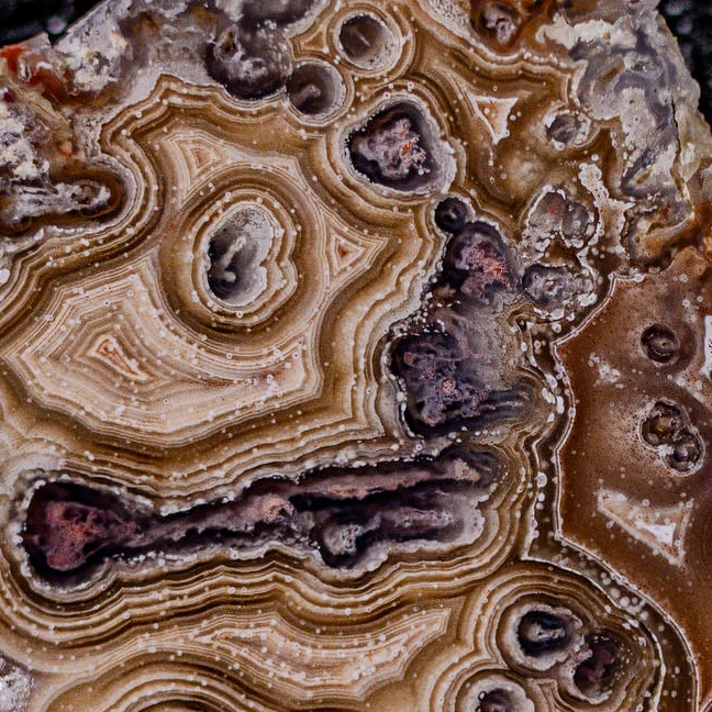 Labyrinth Pulse - view 4