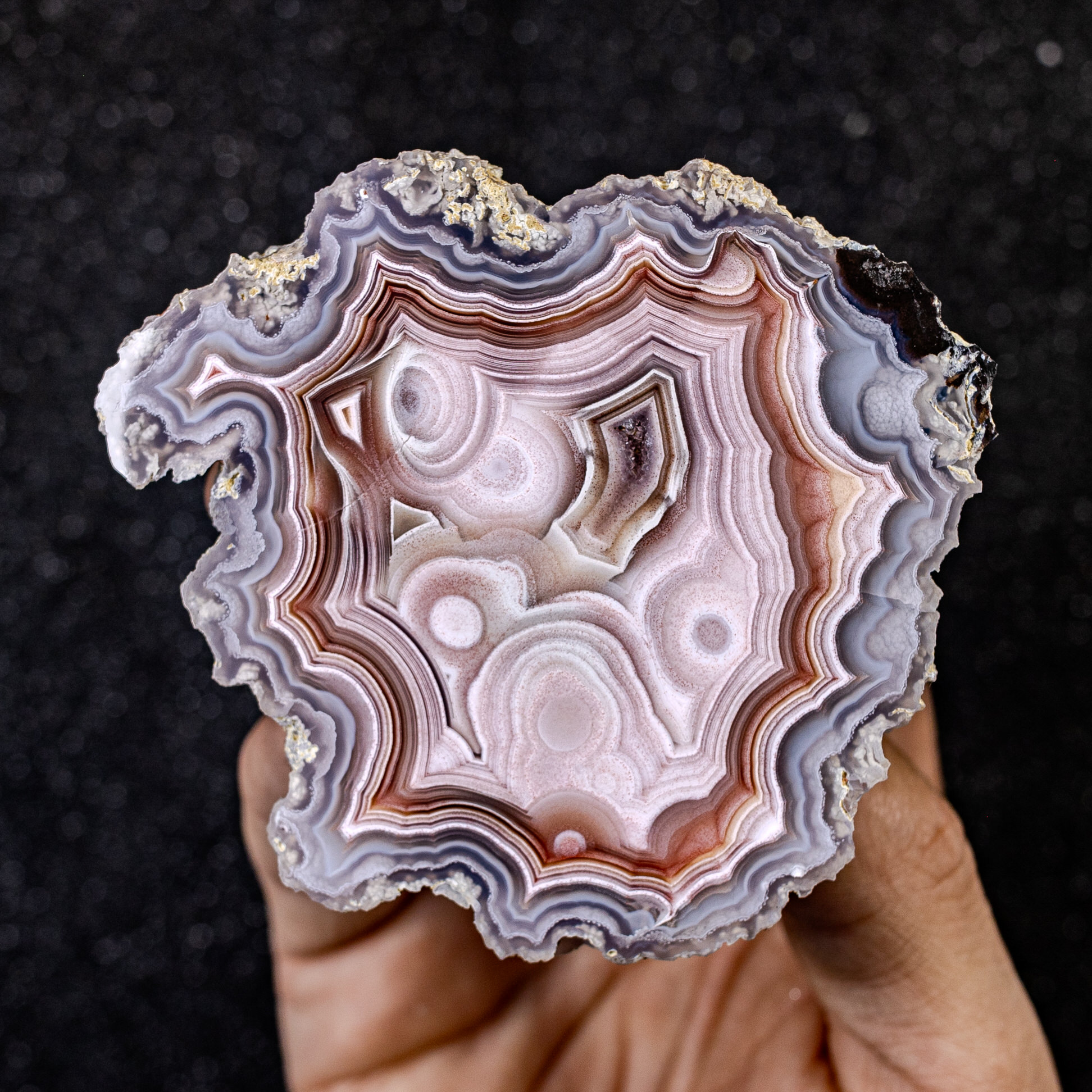 Vortex Dept - view 2