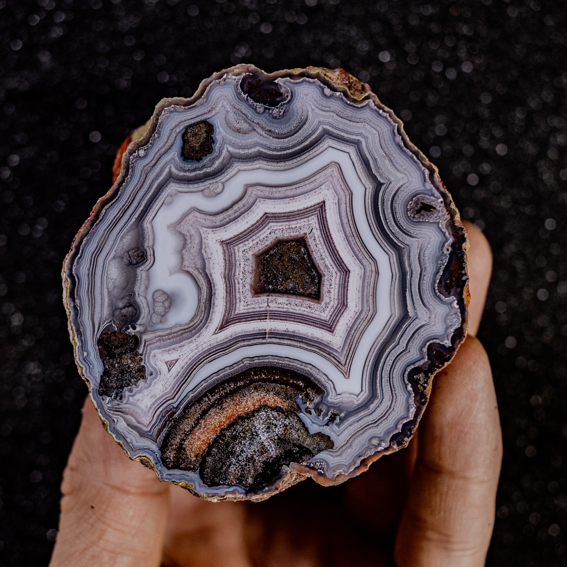 Drift Rise (LAG25782) – $460 – Agates From Mexico