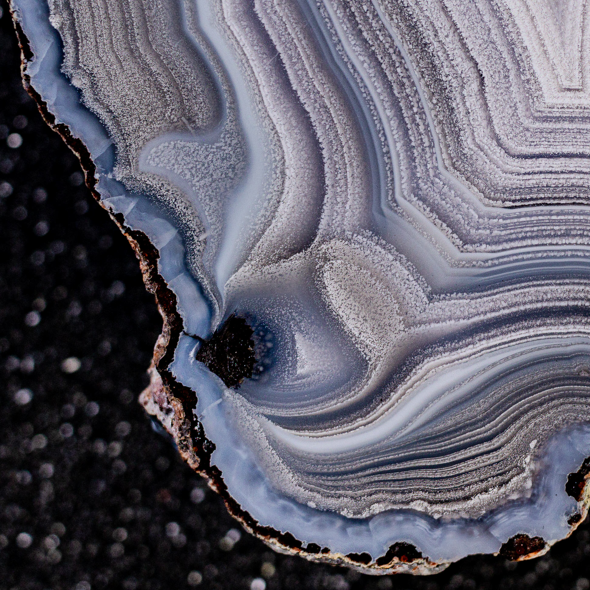 Frozen Blue - view 3