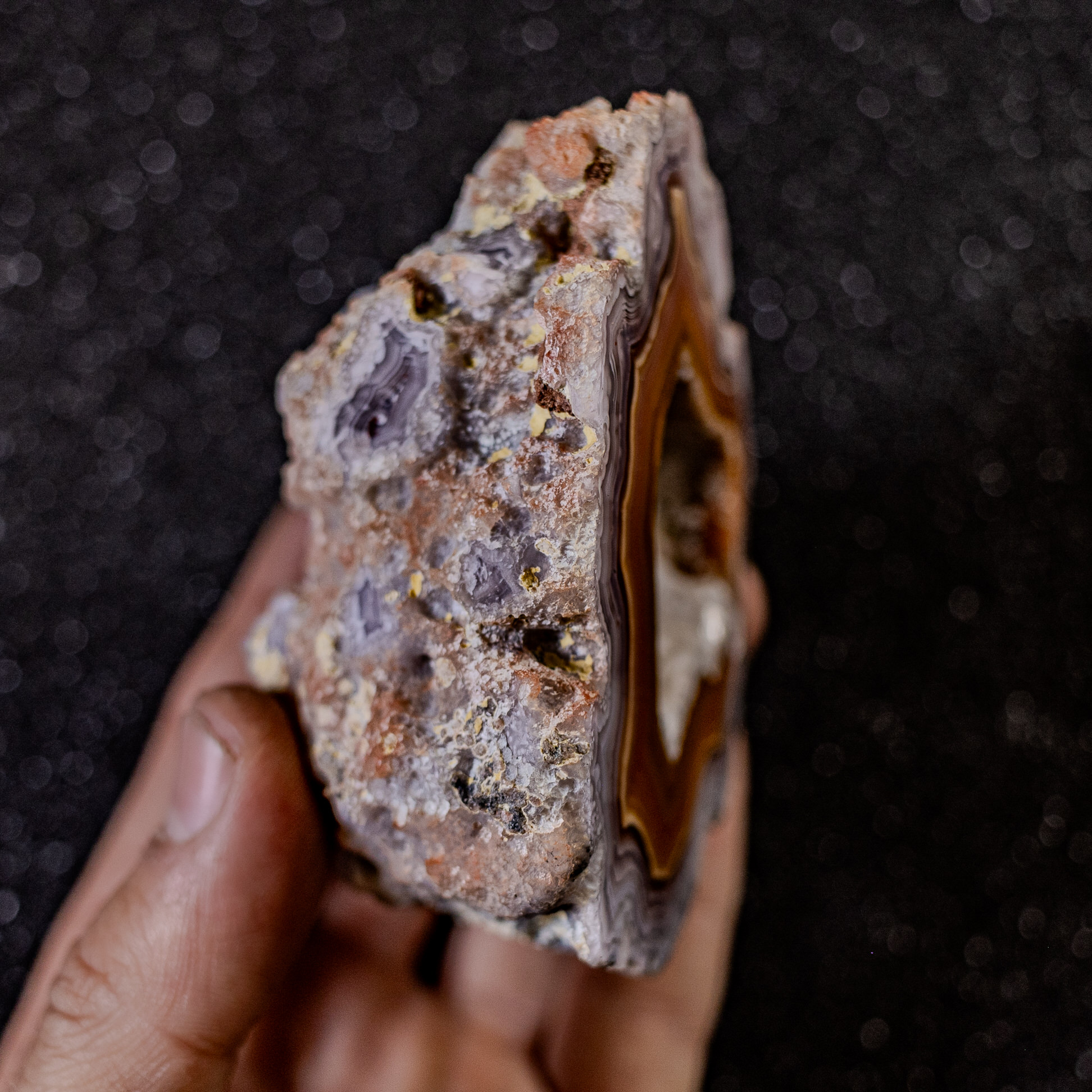 Caramel Lavander - view 4