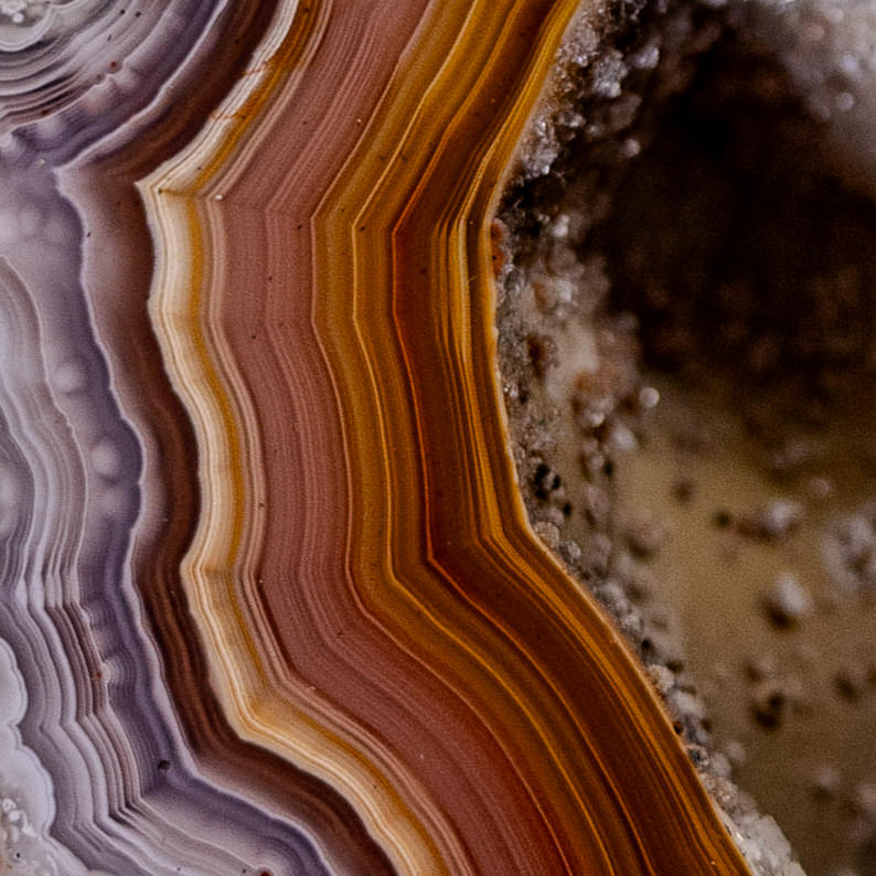 Caramel Lavander - view 3