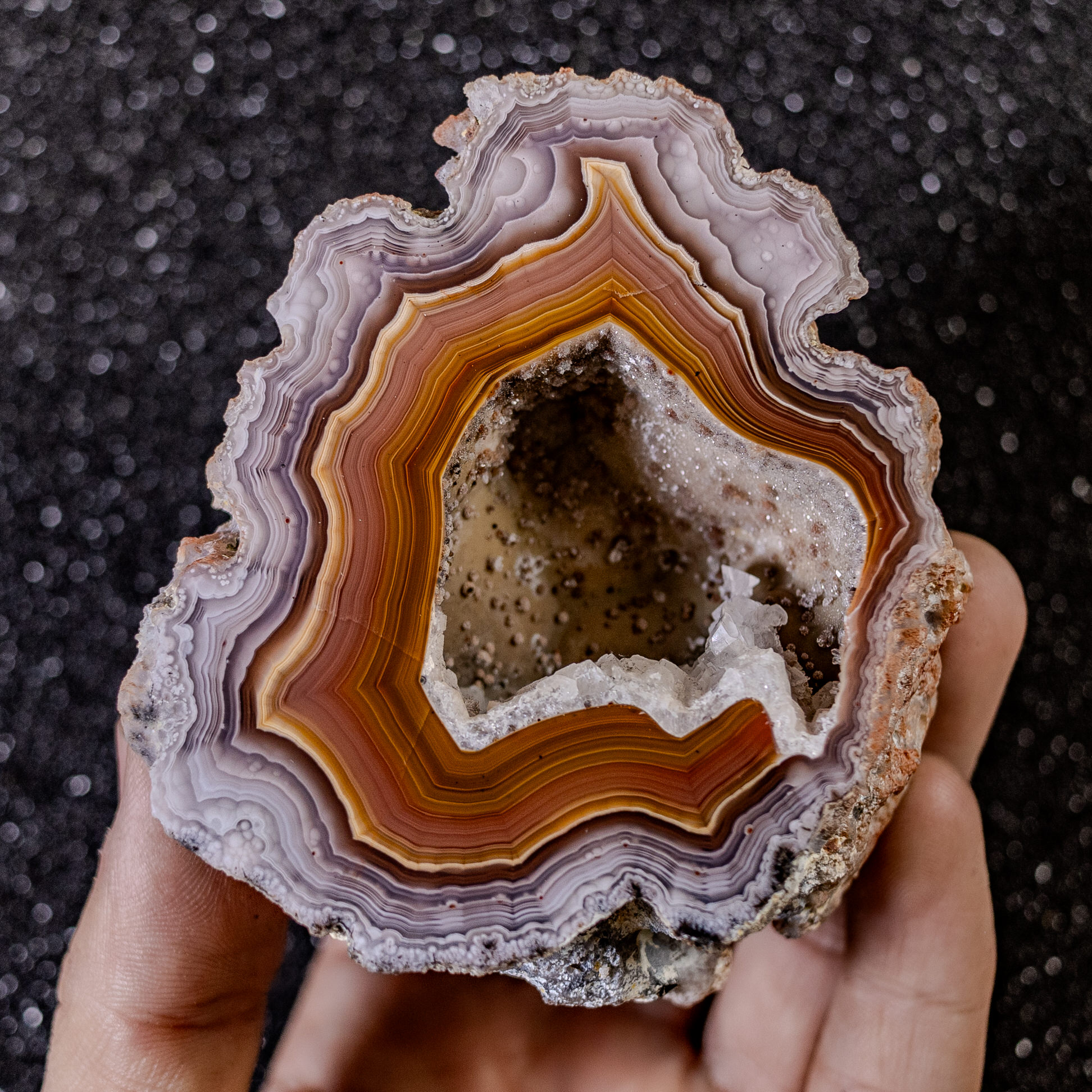 Therma (LAG25395) – $300 – Agates From Mexico