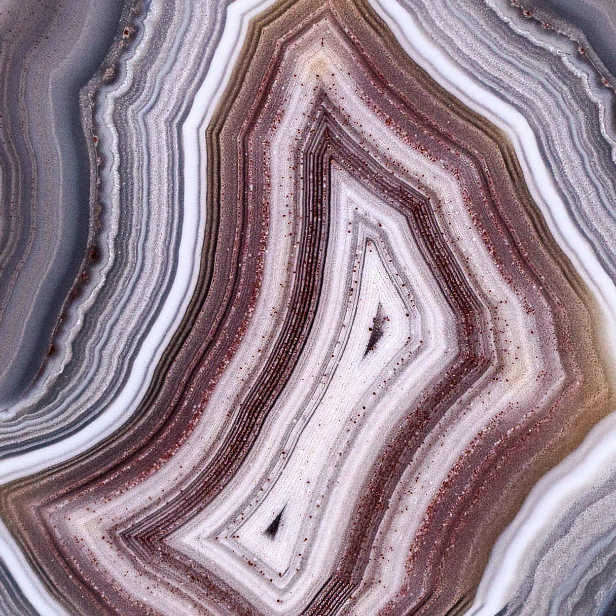 Vibrant Lavander - view 3