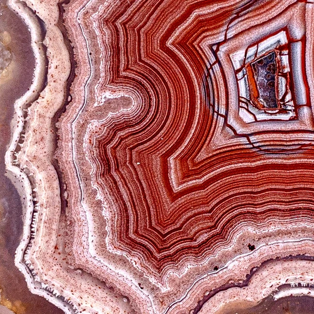 Radiant Red  - view 5